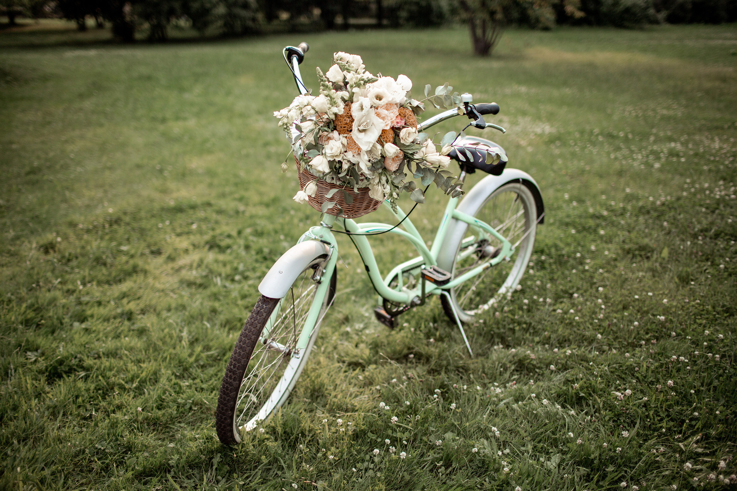 Роман и Валерия. Свадебный и семейный фотограф в Туле Олег Славин
