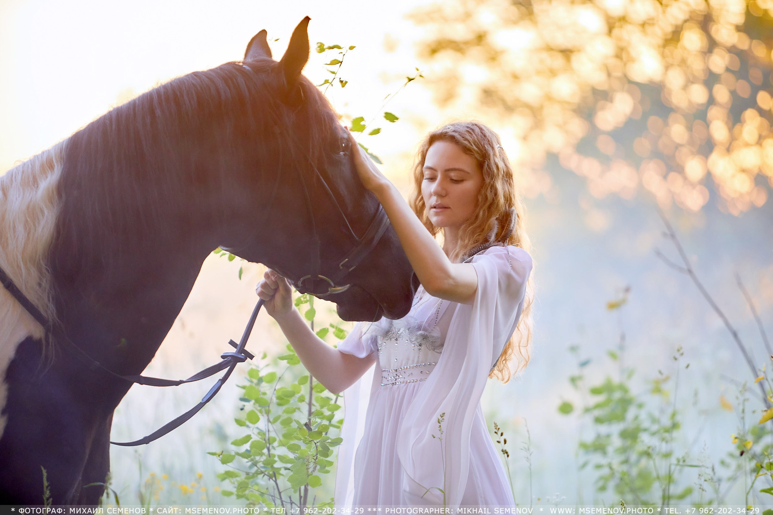 Фотосессия с лошадьми в г. Ярославль. Фотограф Михаил Семенов