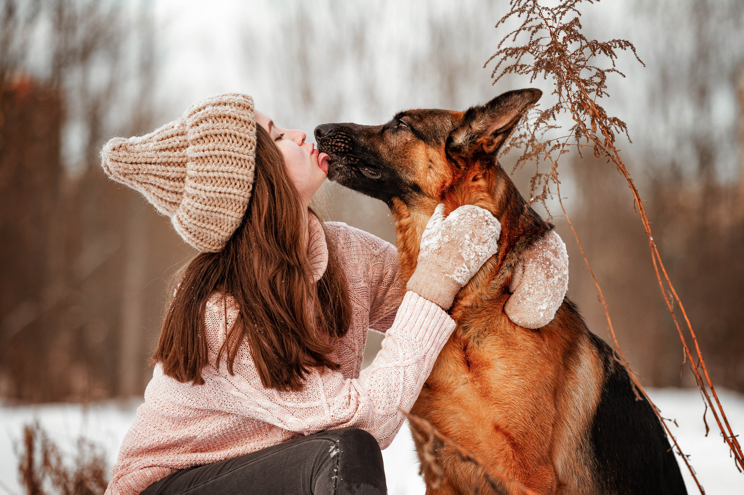 Вольт. Фотограф-анималист
