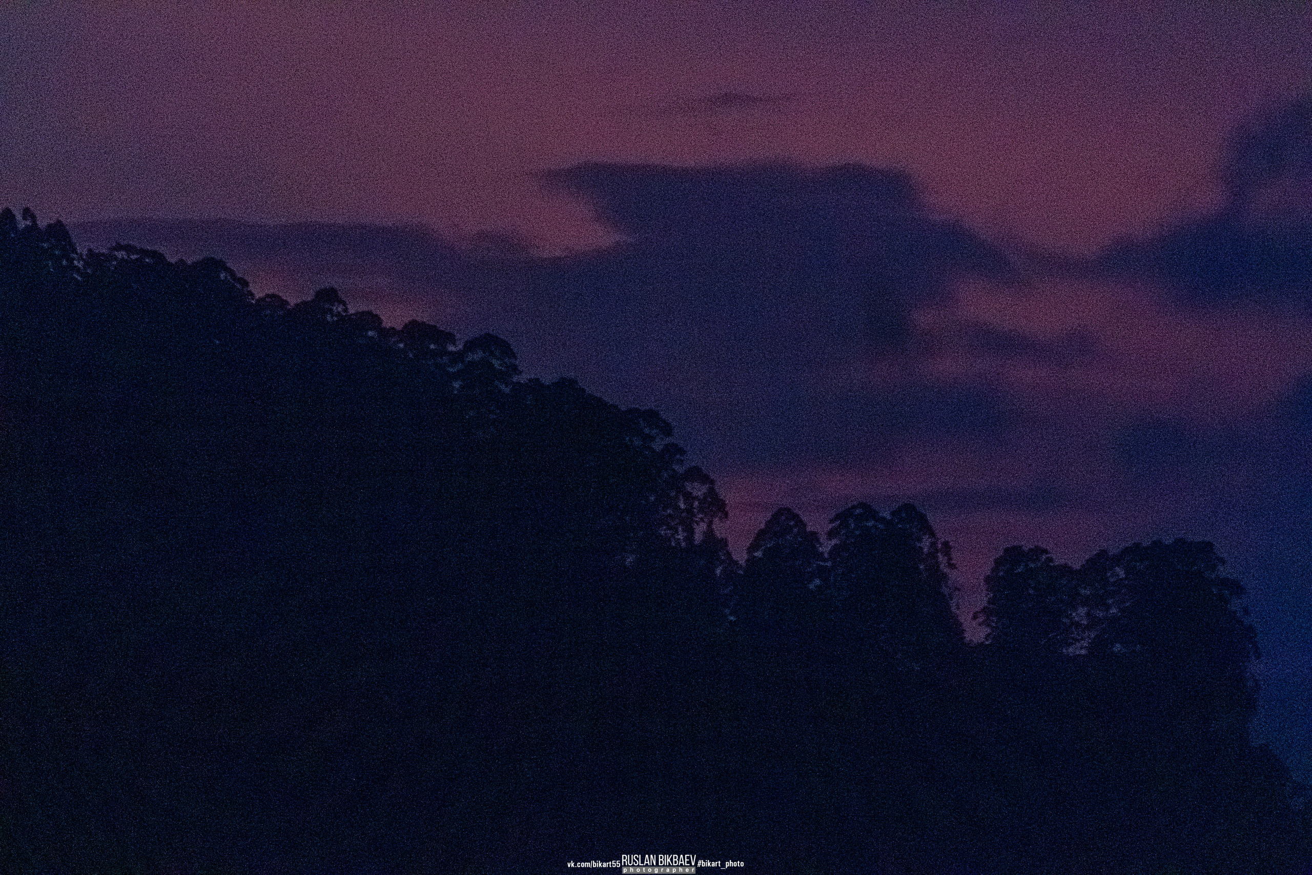 ШРИ-ЛАНКА 2025 / SRI LANKA 2025. Главная