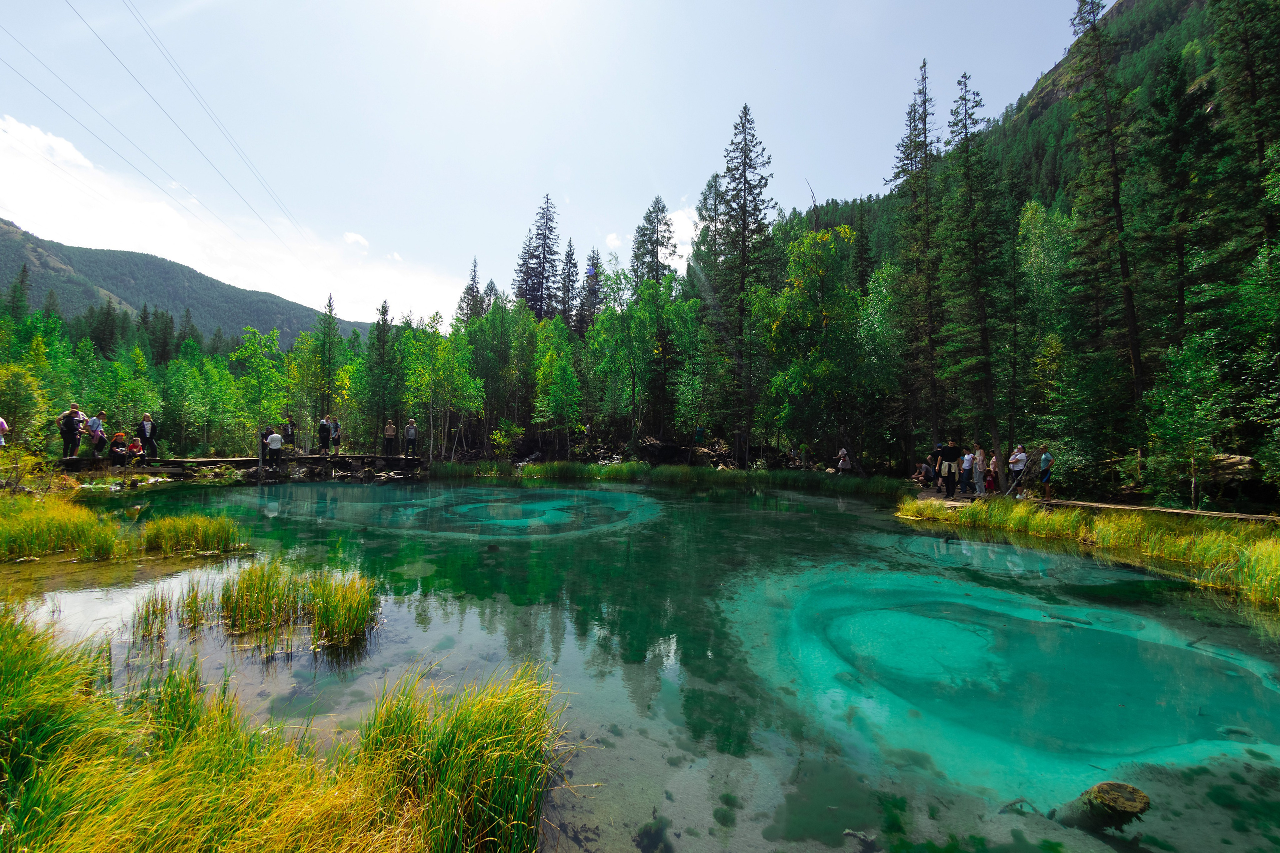 АЛТАЙ 2024 / ALTAI 2024. Главная