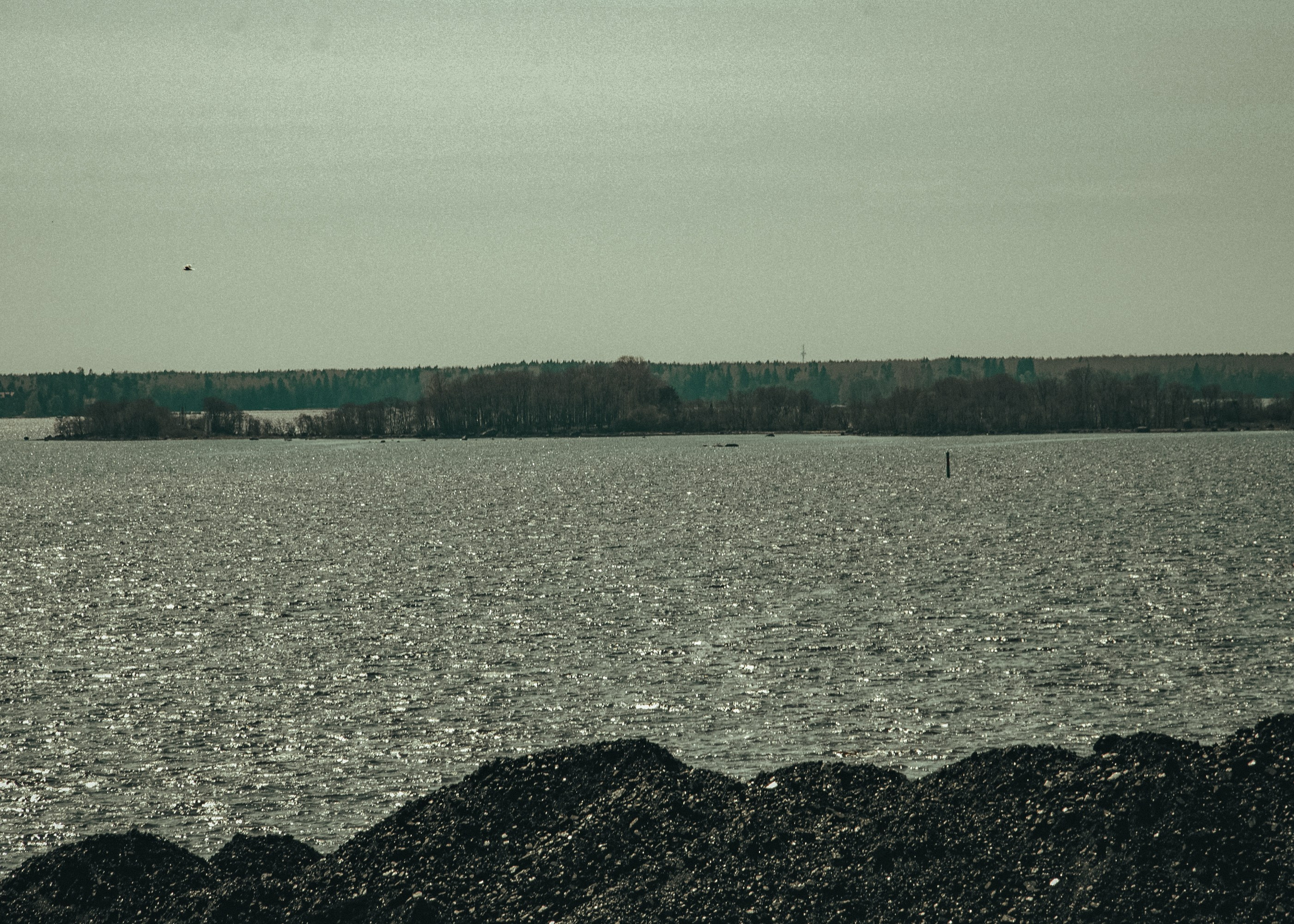 Выборг. Портретный фотограф DanilNabody