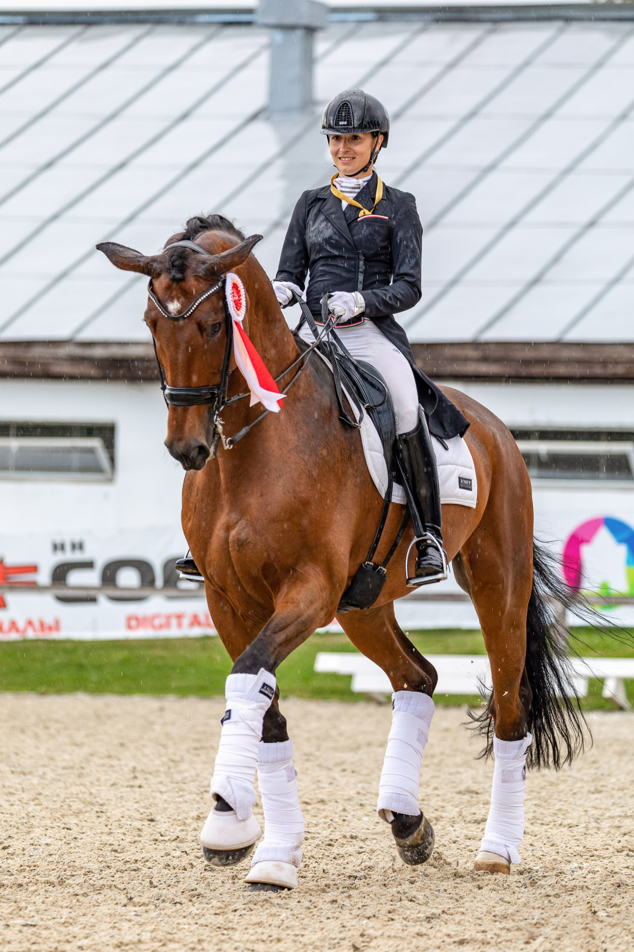 Выездка. Mrs.Aquarelia Конный фотограф Марианна Леонтьева