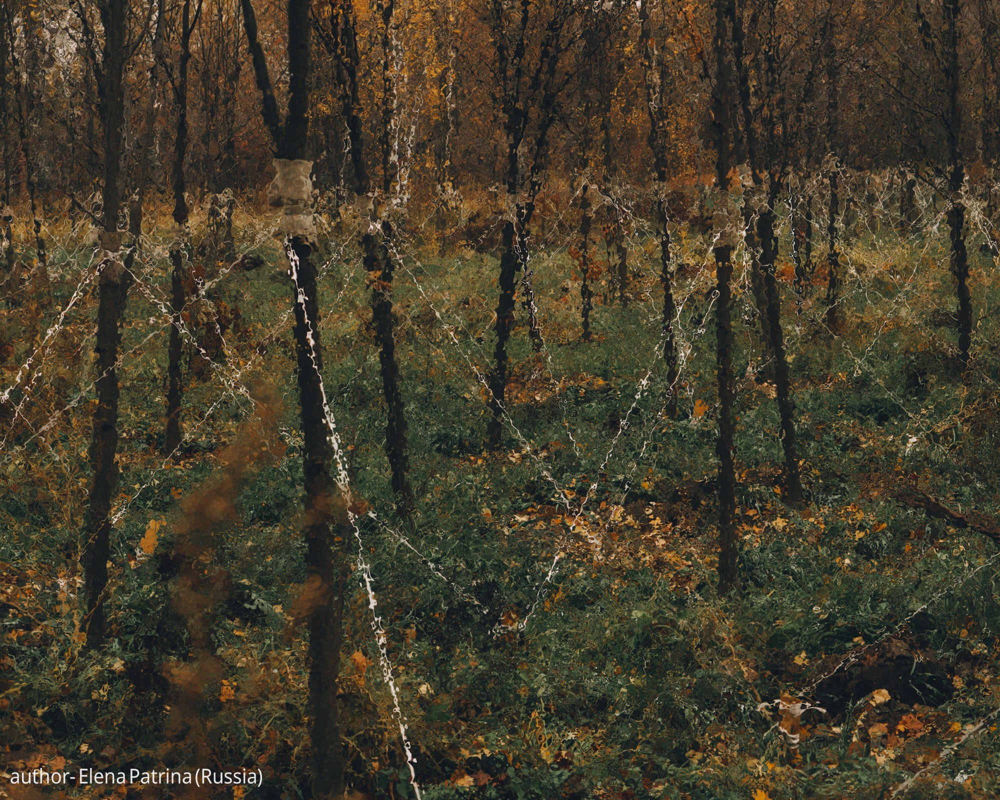 Gallery. UNUSUAL TALENT magazine