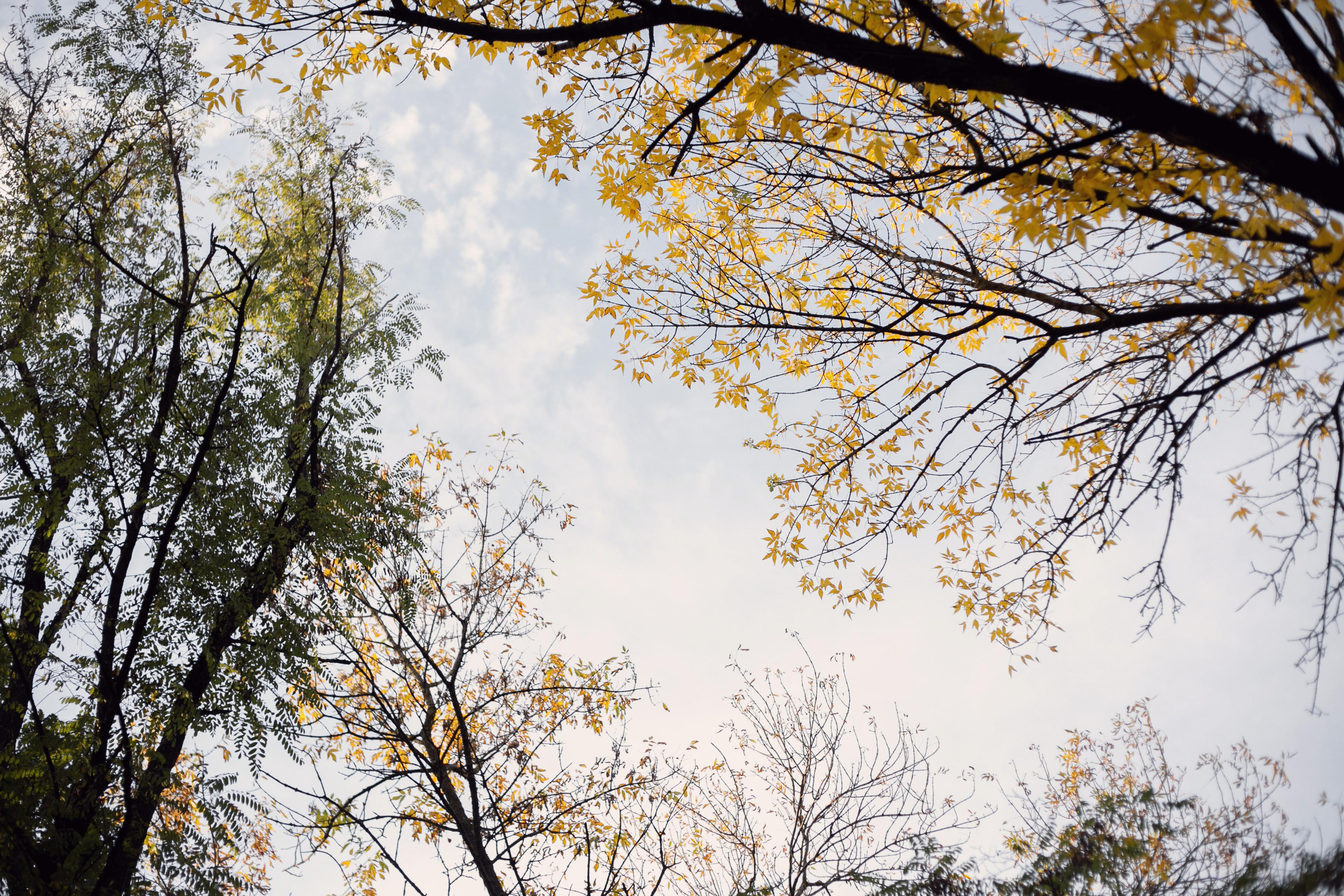 В сосновом бору. Семейный и детский фотограф в Ростове-на-Дону Мария Курутина