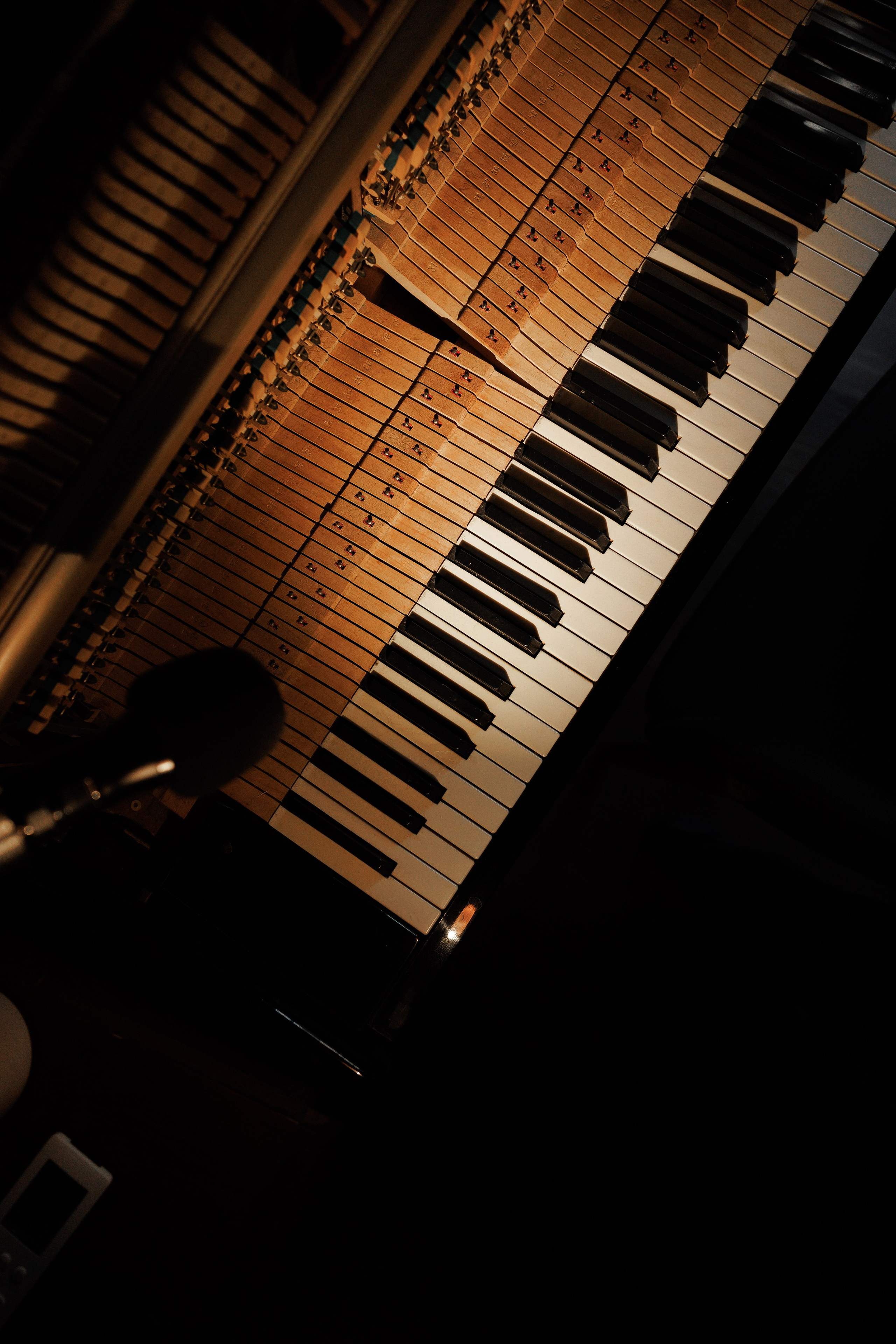 Свадебная серия в баре. Свадебный и семейный фотограф  во Владивостоке Ольга Украинец