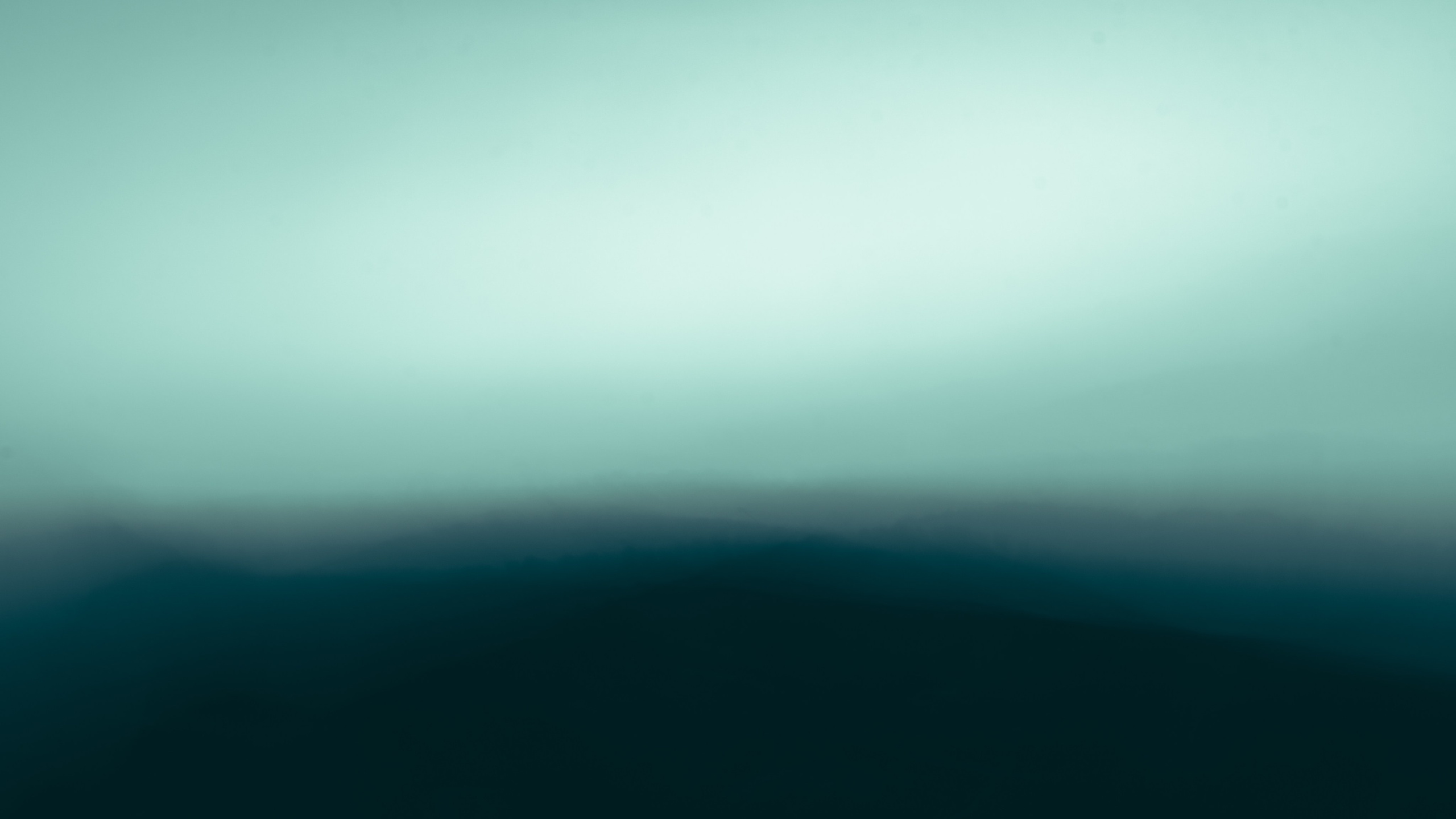 Попкова Виктория фотограф