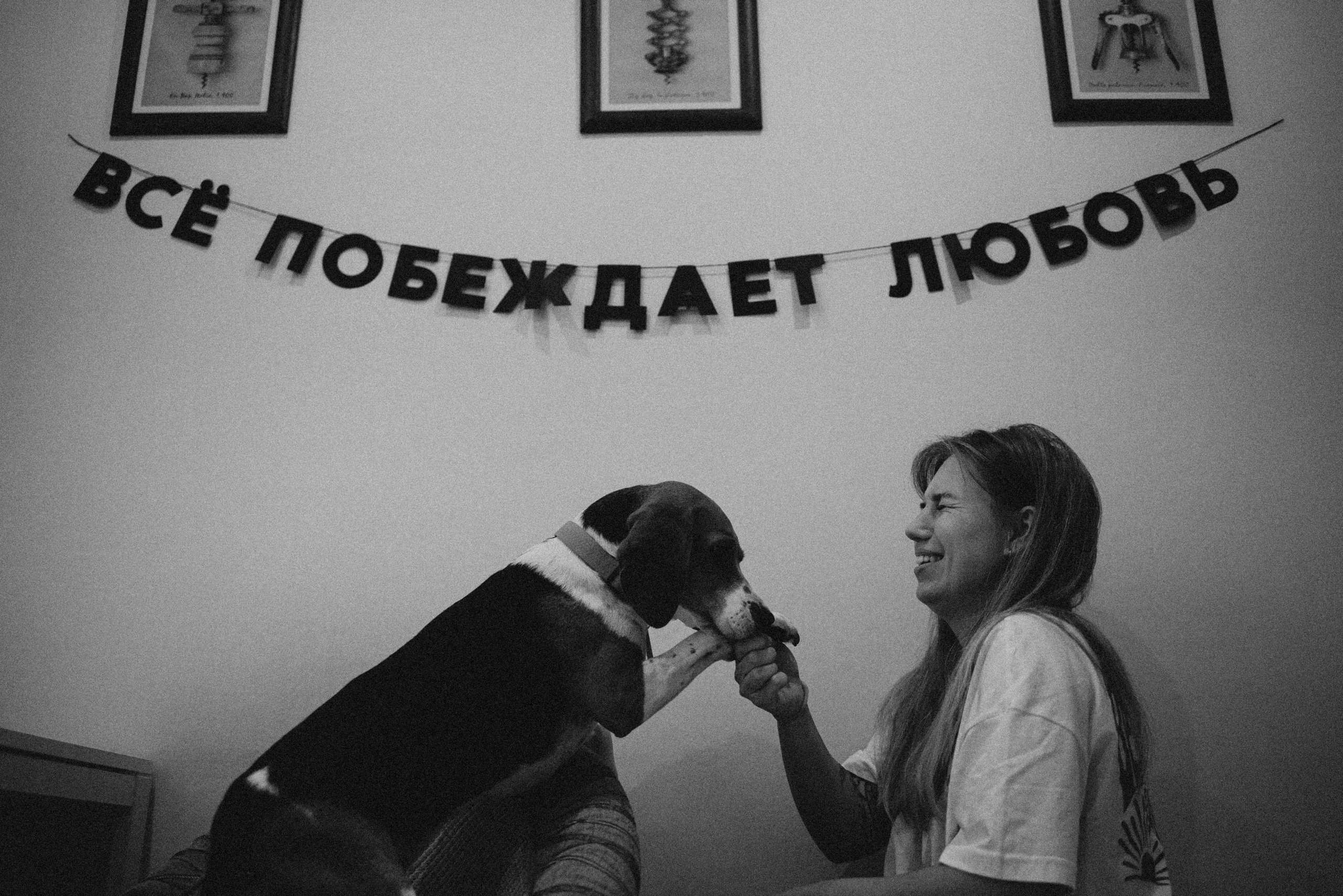 Света и Ива. Фотограф-анималист в Москве Лера Черноног