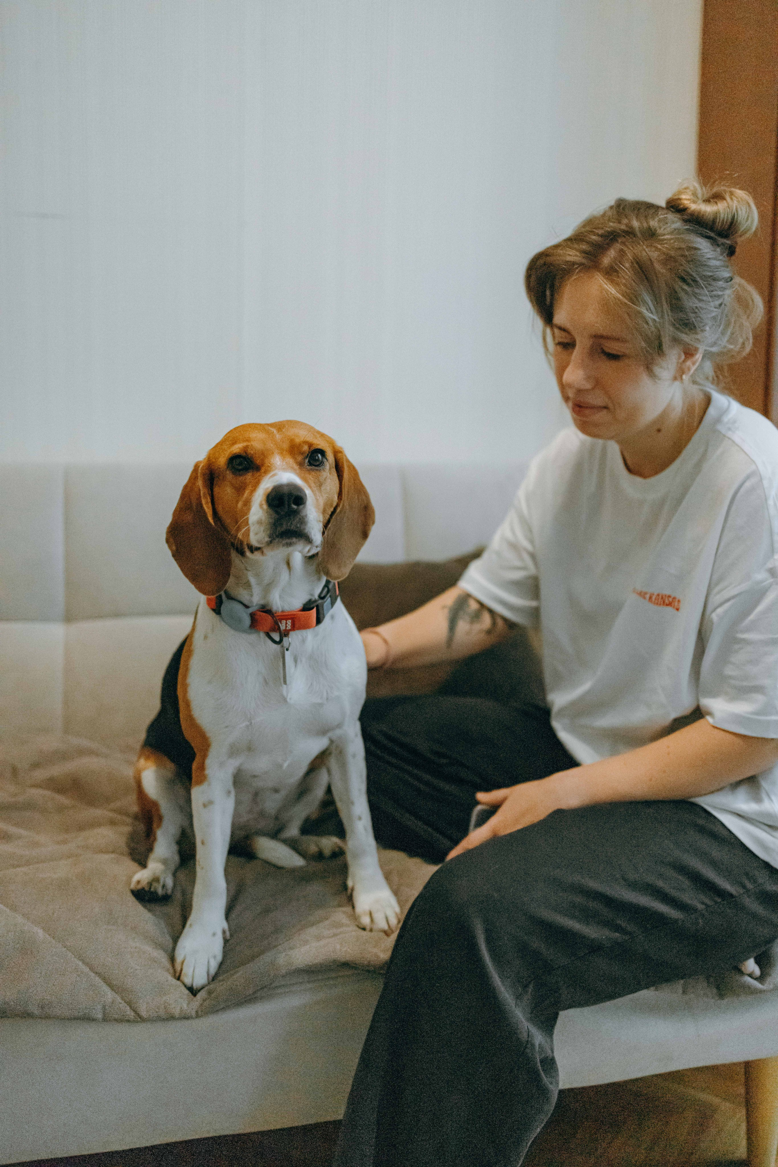 Света и Ива. Фотограф-анималист в Москве Лера Черноног