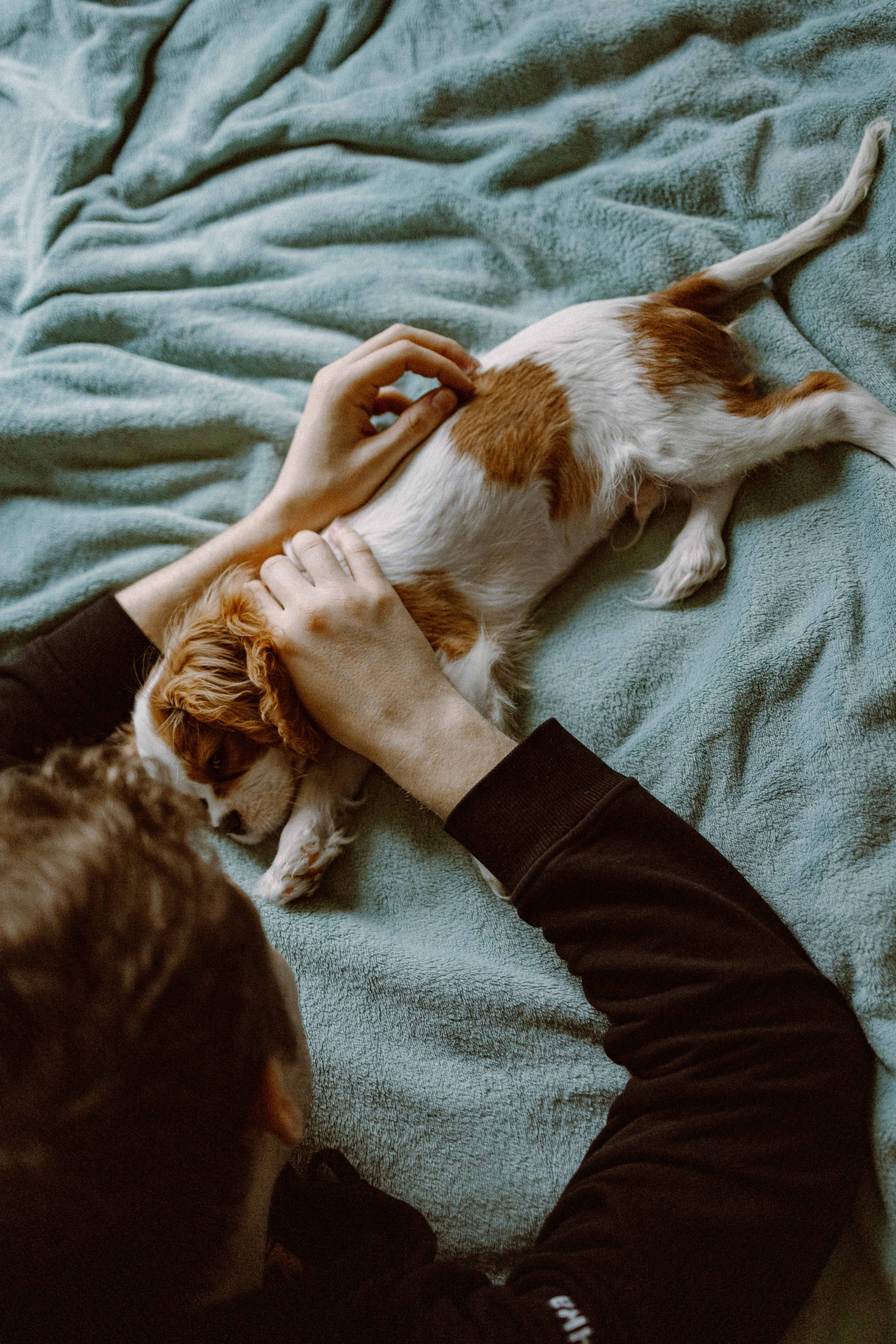 Юля и Кипр. Фотограф-анималист в Москве Лера Черноног