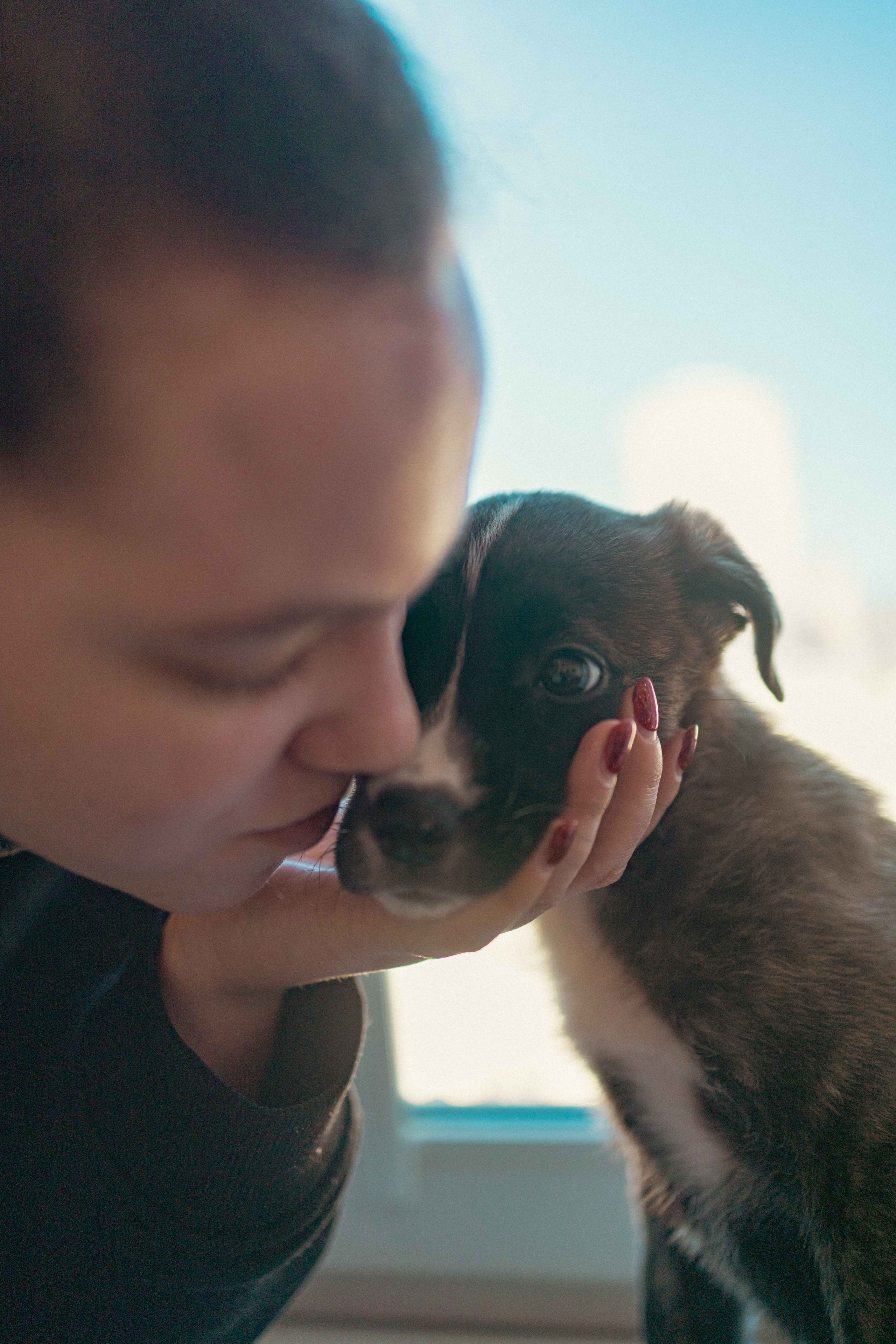 Гайка. Фотограф-анималист в Москве Лера Черноног