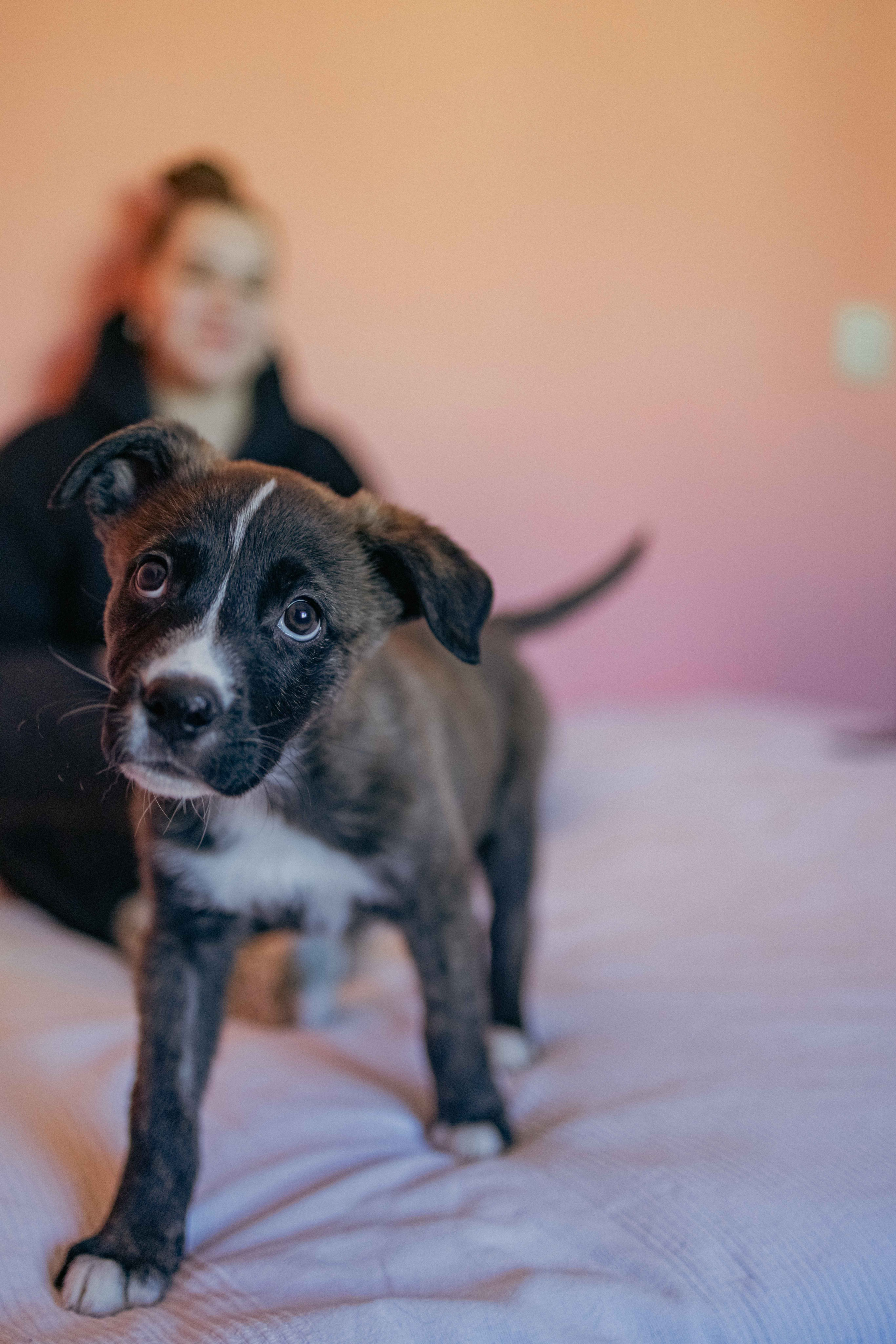 Гайка. Фотограф-анималист в Москве Лера Черноног