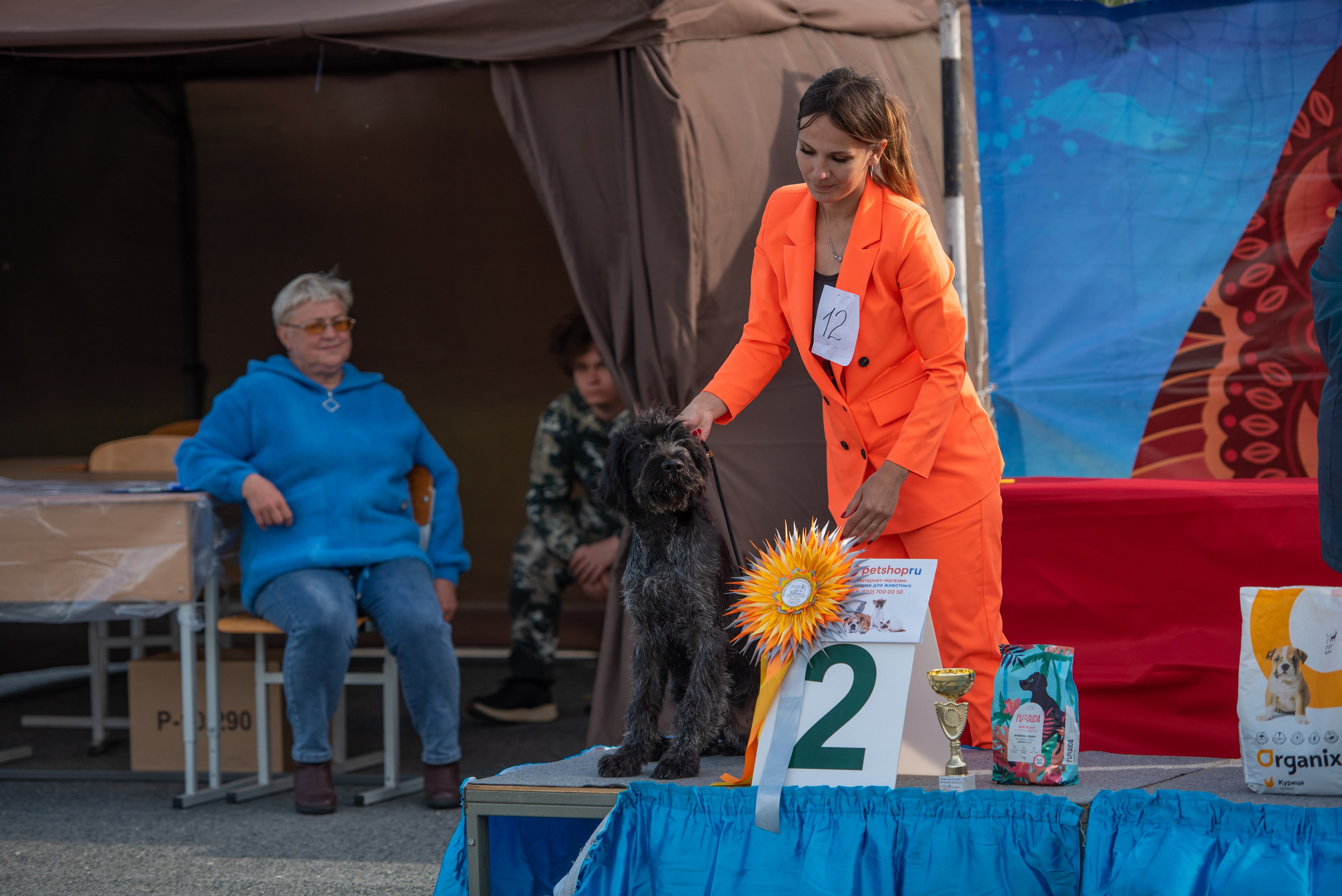 Выставки. Главная