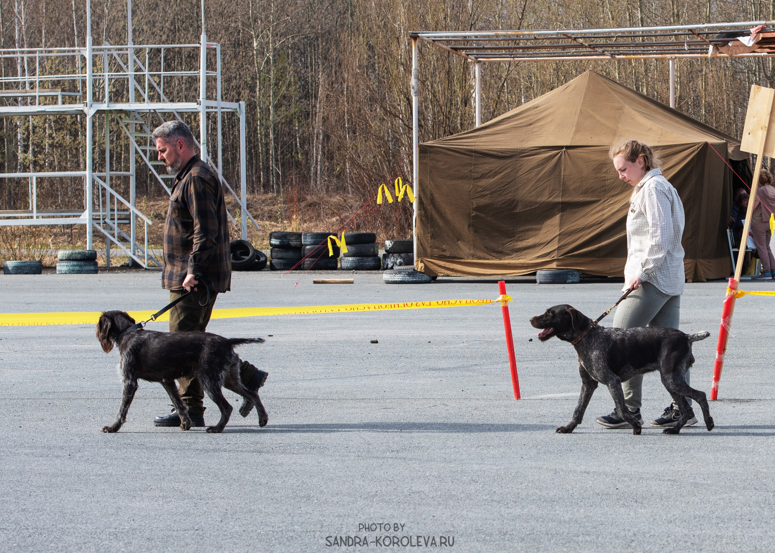 Выставки. Главная