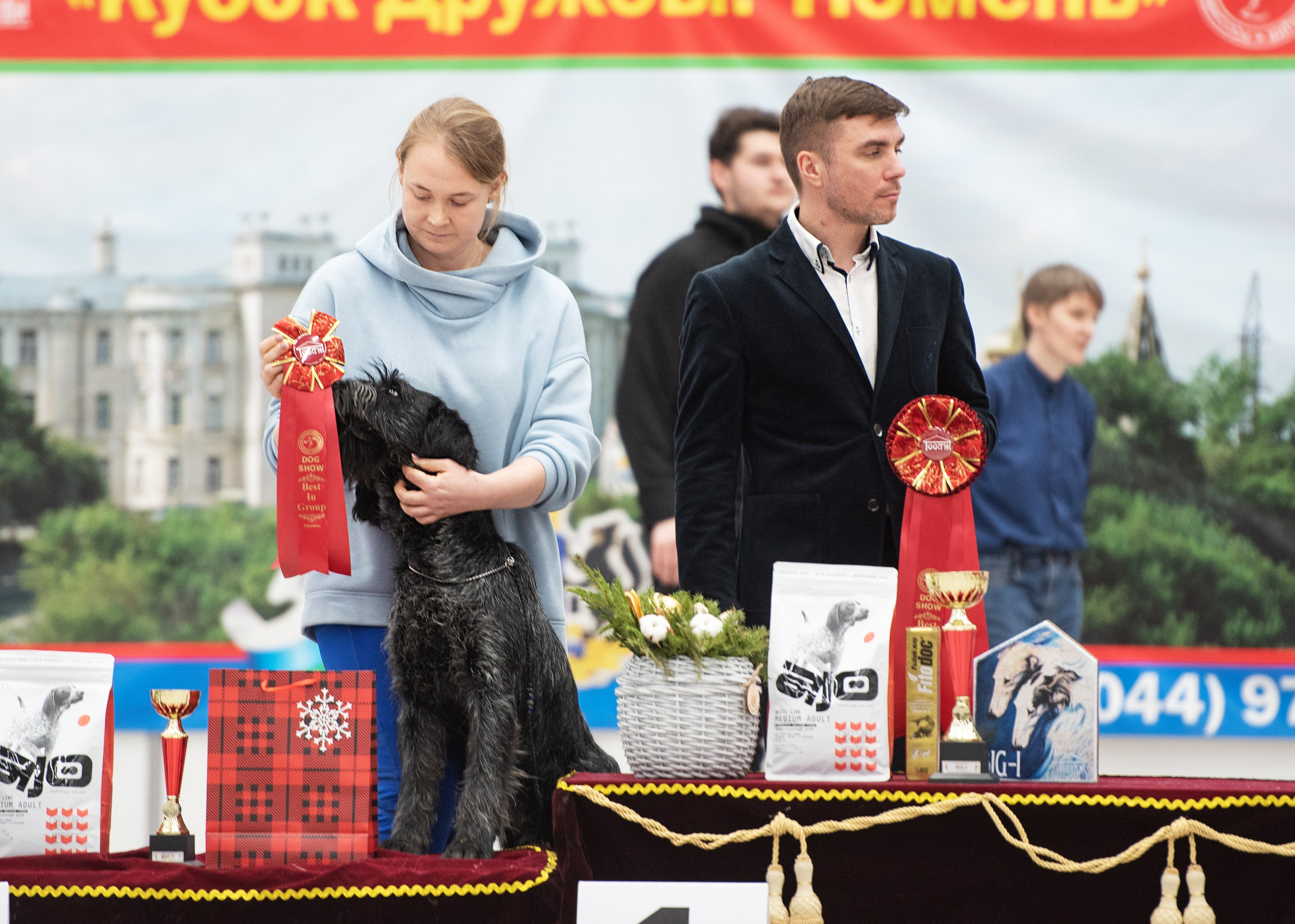 Выставки. Главная