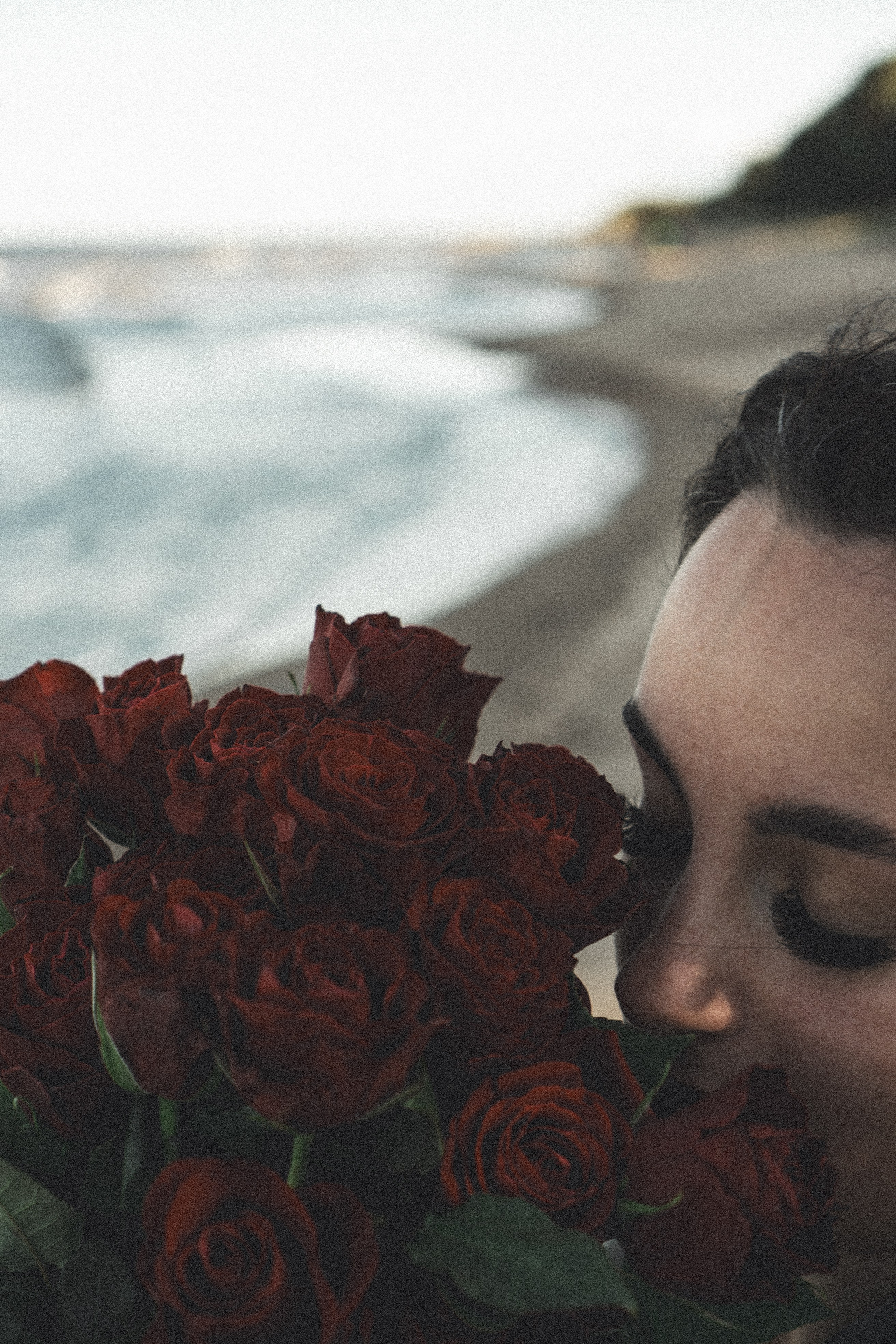 Розы. Профессиональный фотограф, Санкт-Петербург — Виктория Богомолова