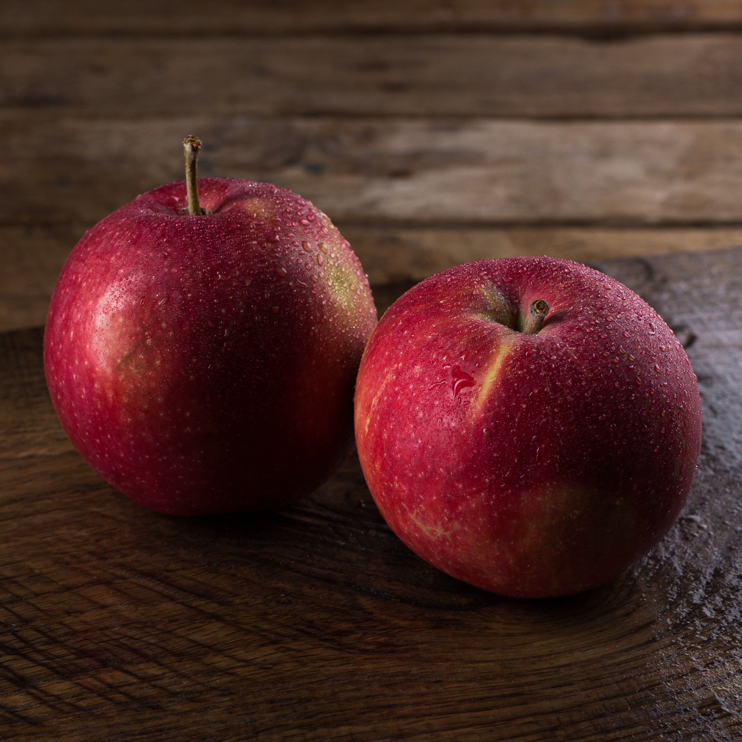 Каталоги продуктов. Фотограф Андрей Величко