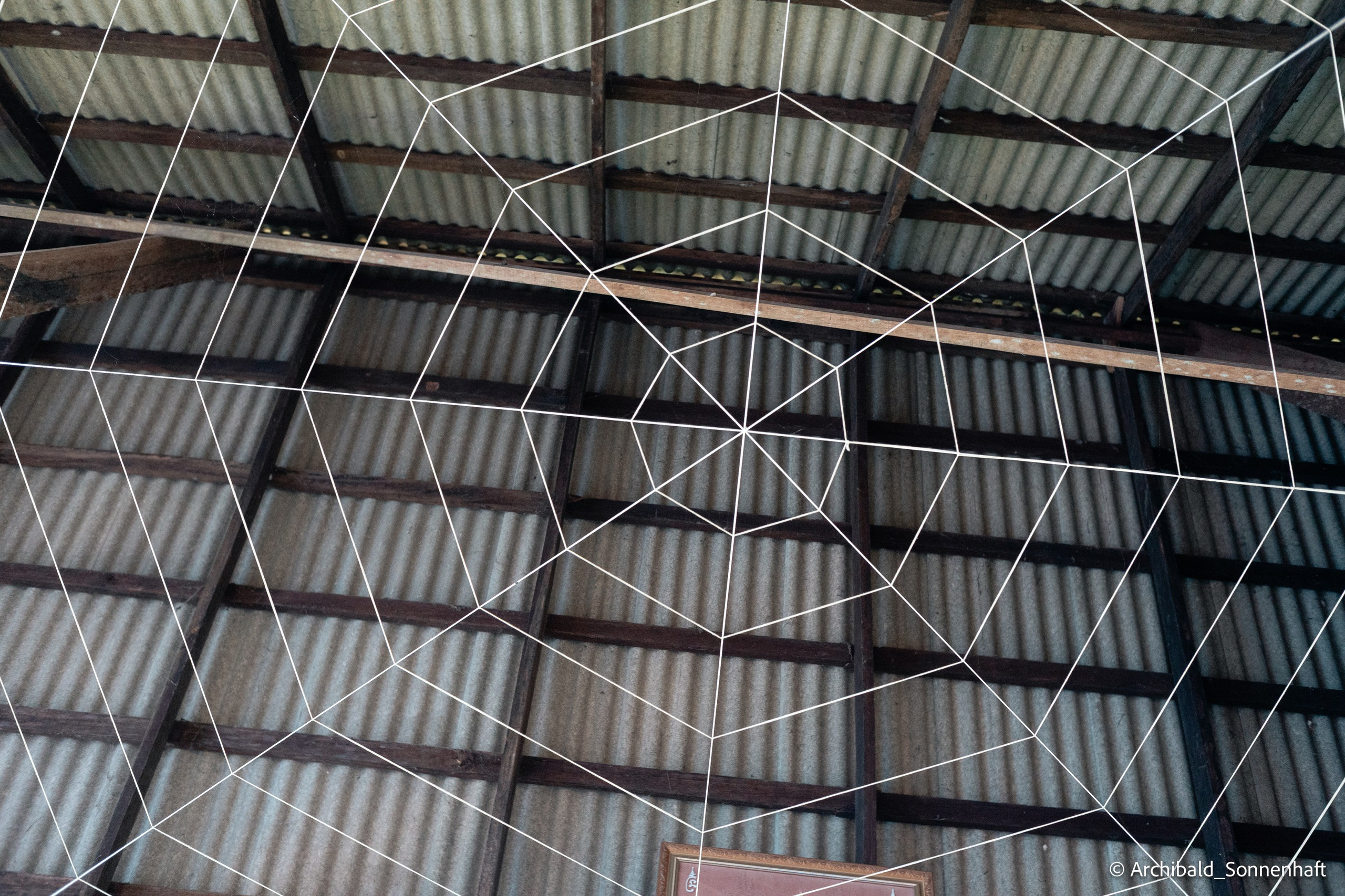 Thai monk. Photographer in Guangzhou, China. Archibald Sonnenhaft