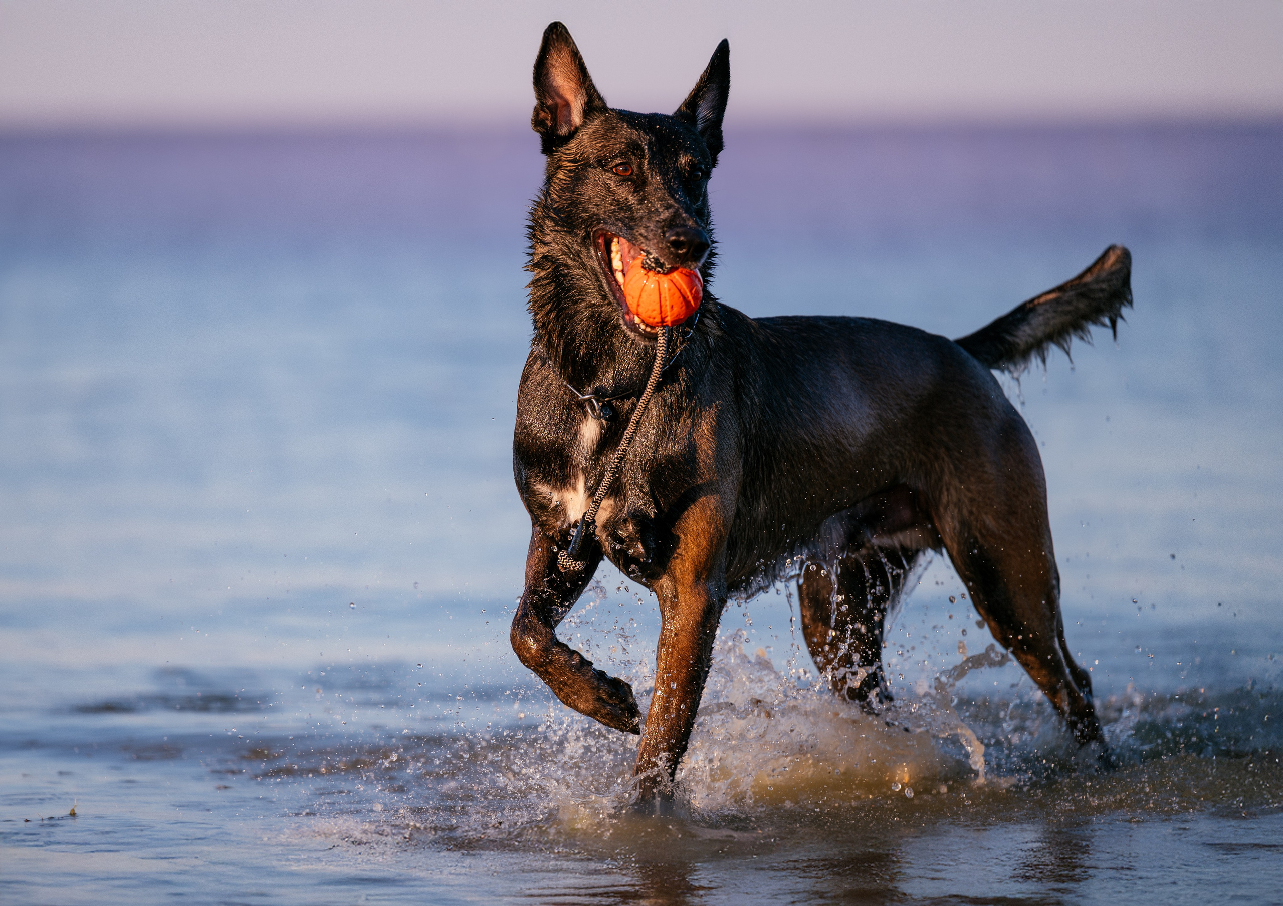 Вечер на заливе. Фотограф в Ростове —на — Дону