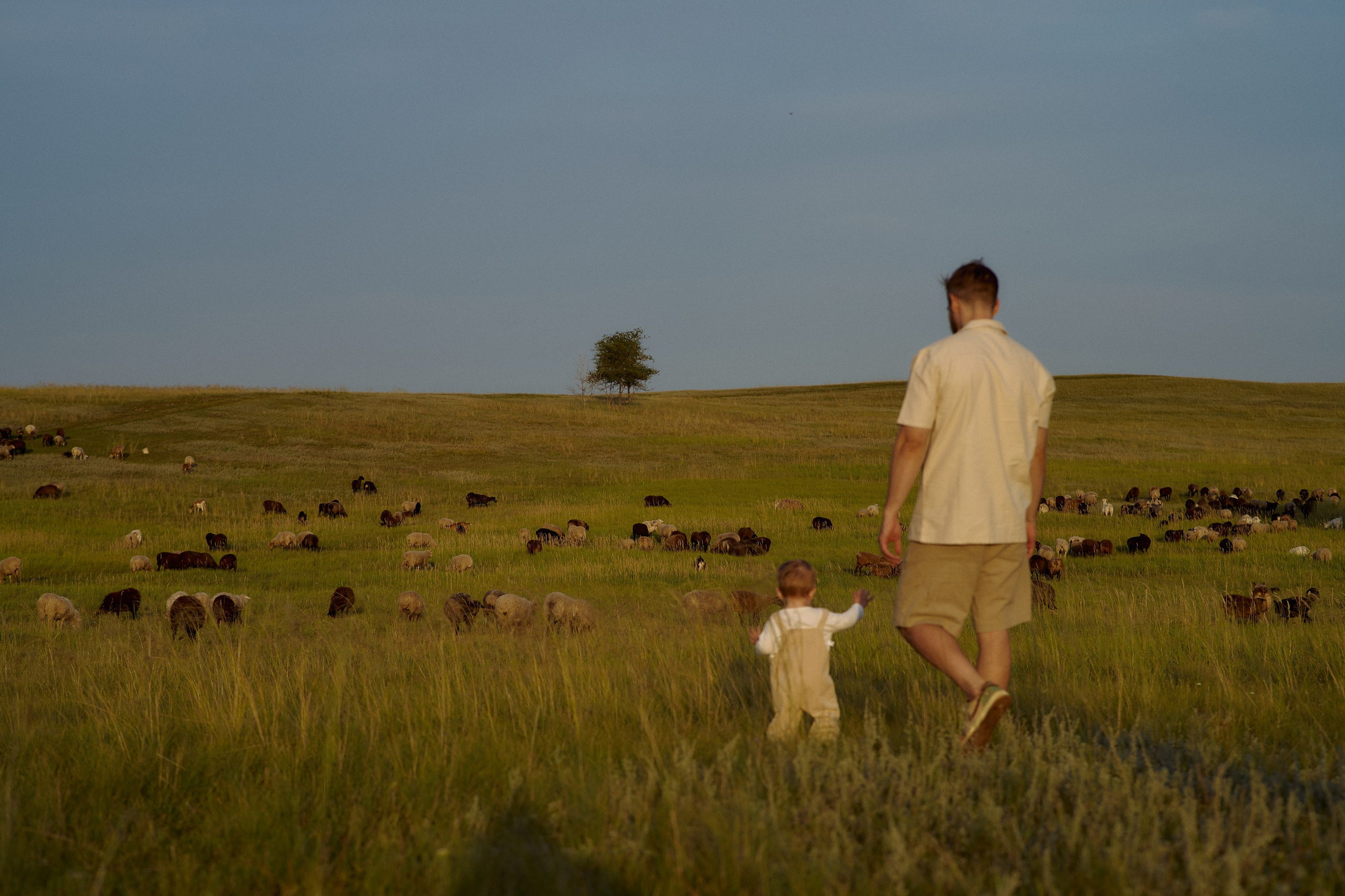 Шамиль, Аня и Марс в поле с барашками. Семейный и свадебный lifestyle-фотограф в Москве Мария Петрова