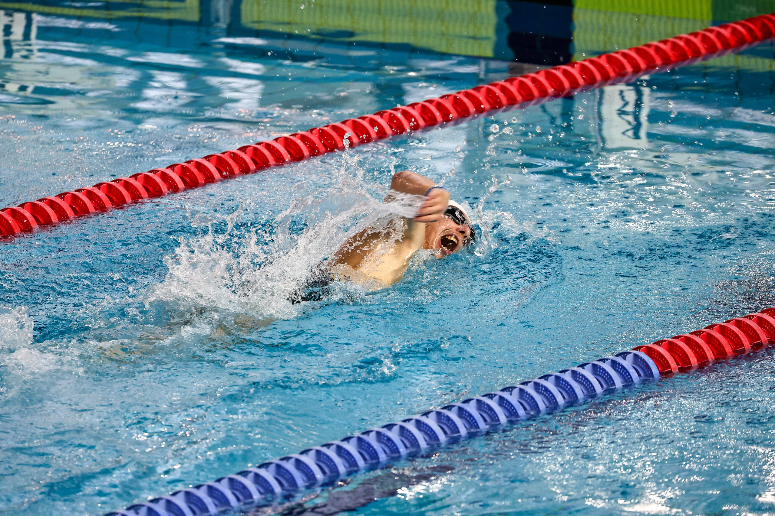 ДЗМ Плавание 2026. Фототерапевт Ева Бунеева