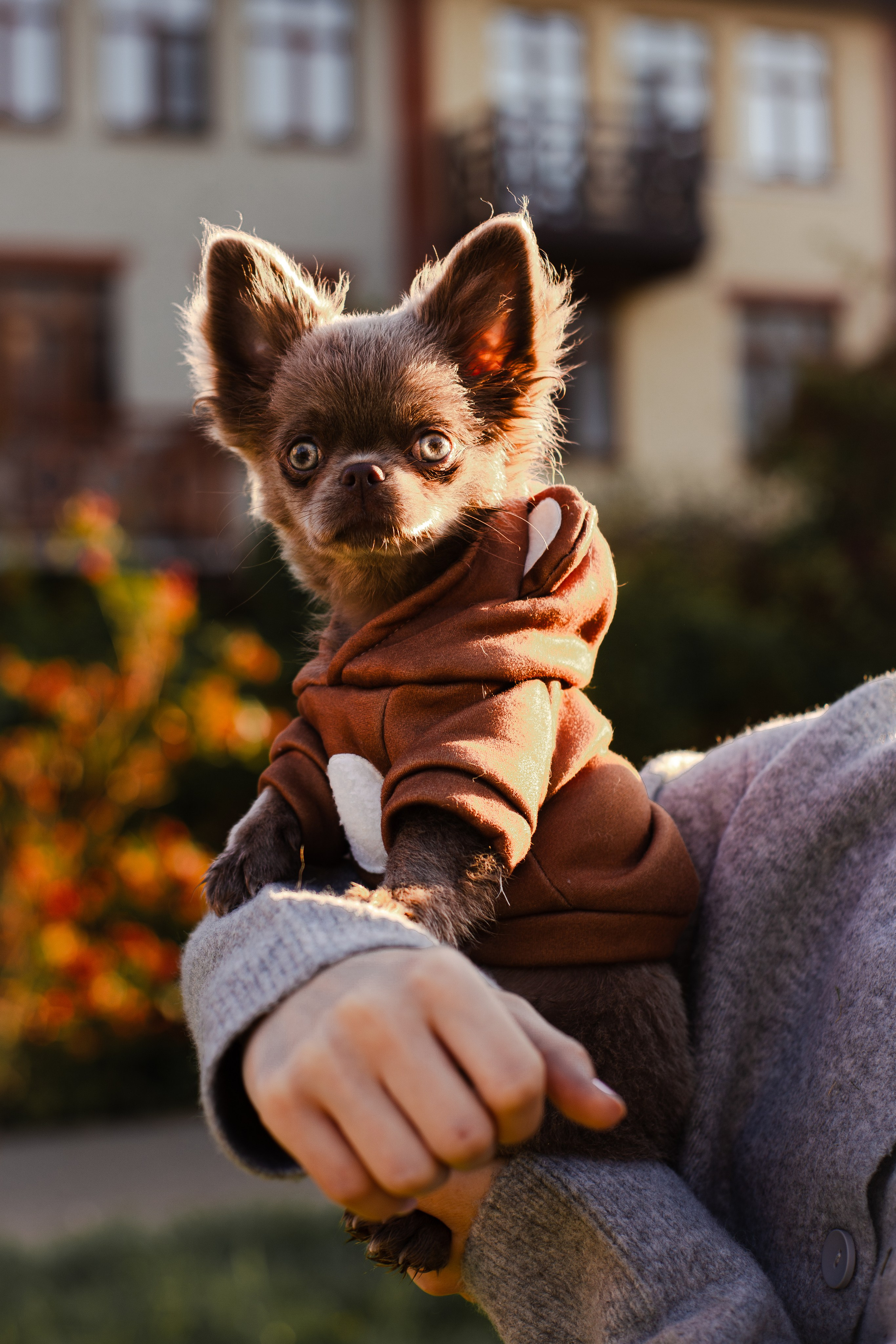 Варя и Фунтик. Фотограф-анималист Мария Баркевич | Москва