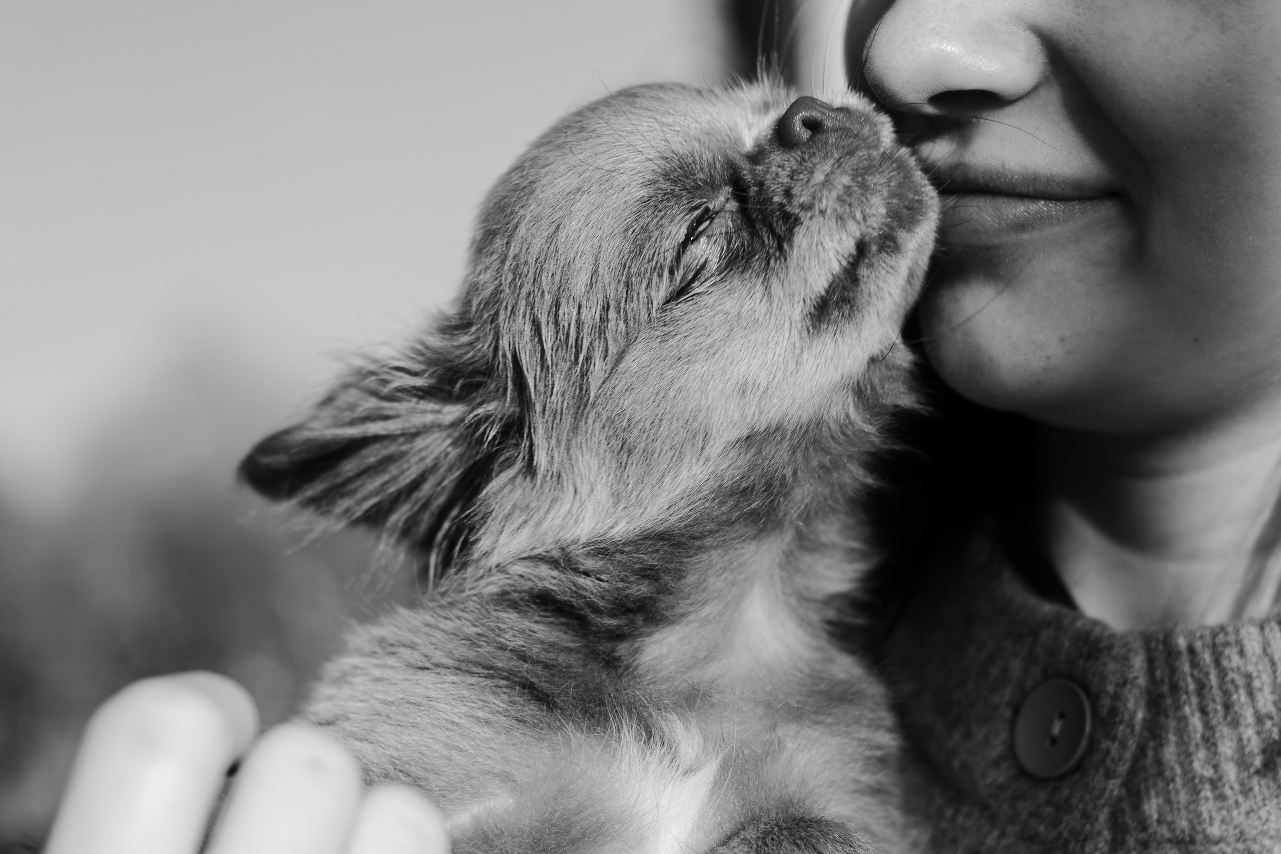 Варя и Фунтик. Фотограф-анималист Мария Баркевич | Москва