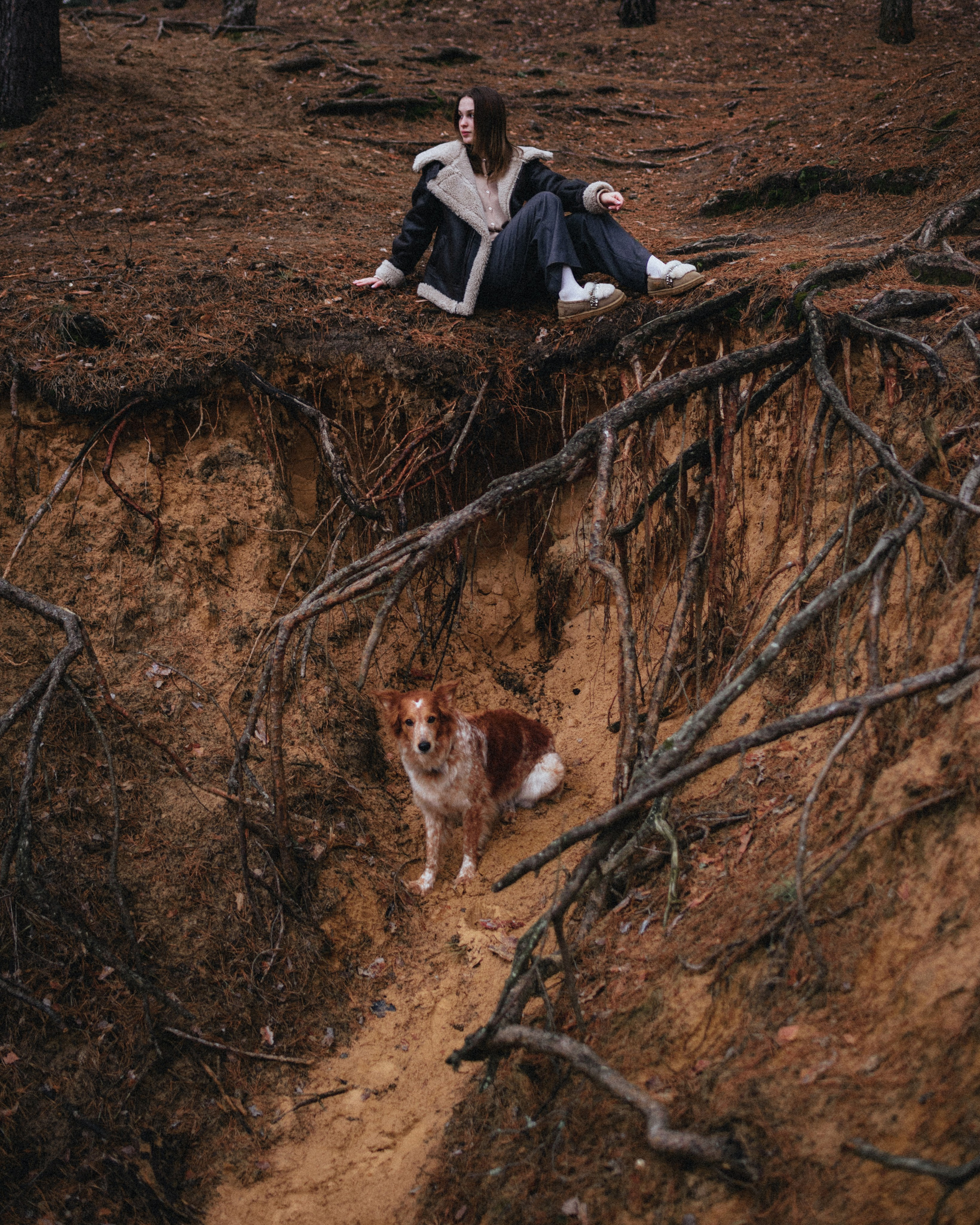 Илона и Челси. MariaGohri — Конный фотограф, анималист, Рязань