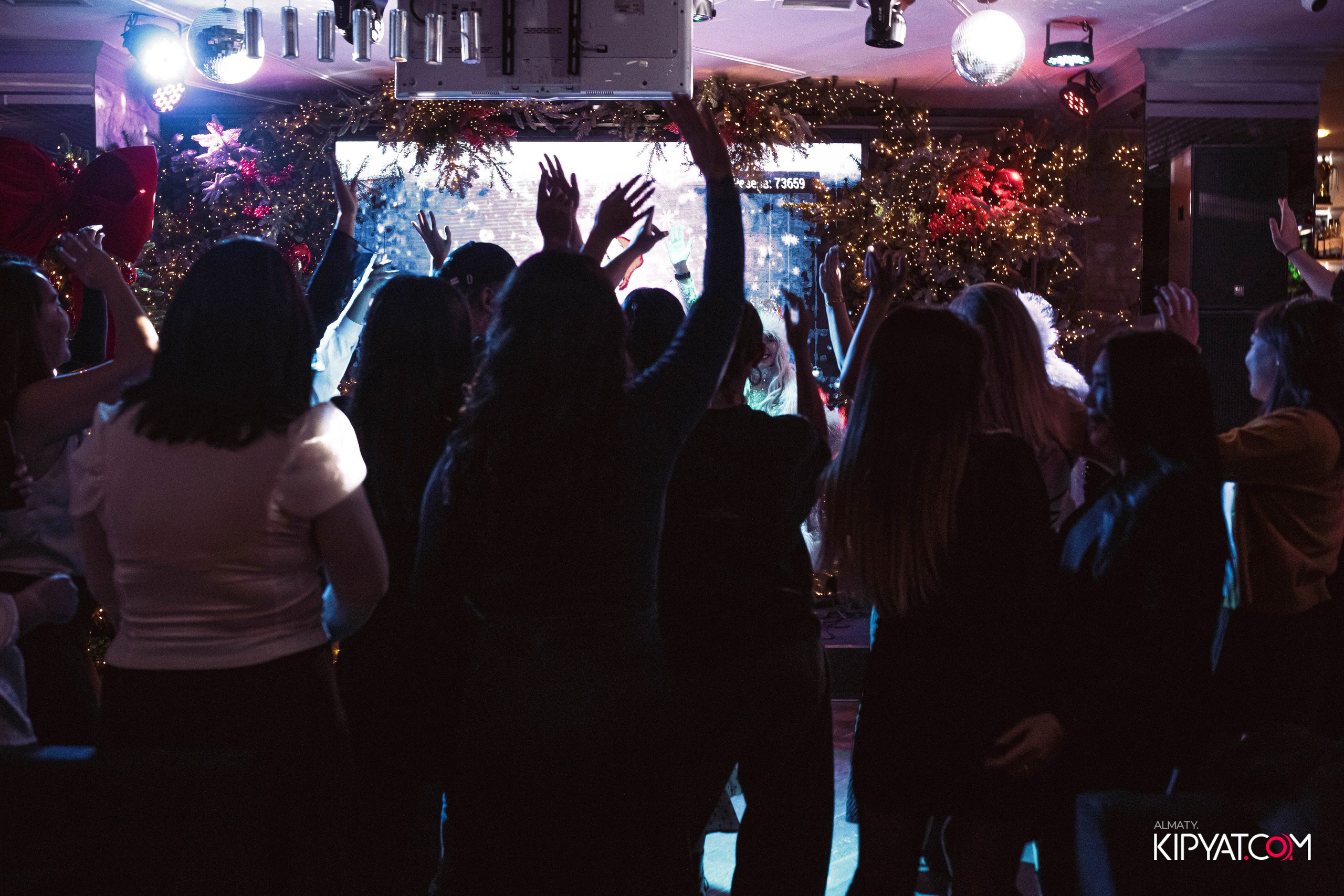 УХО И МЕДВЕДЬ НА КУРМАНГАЗЫ. КИПЯТКОМ АЛМАТЫ! Фотосъемка мероприятий в Алматы