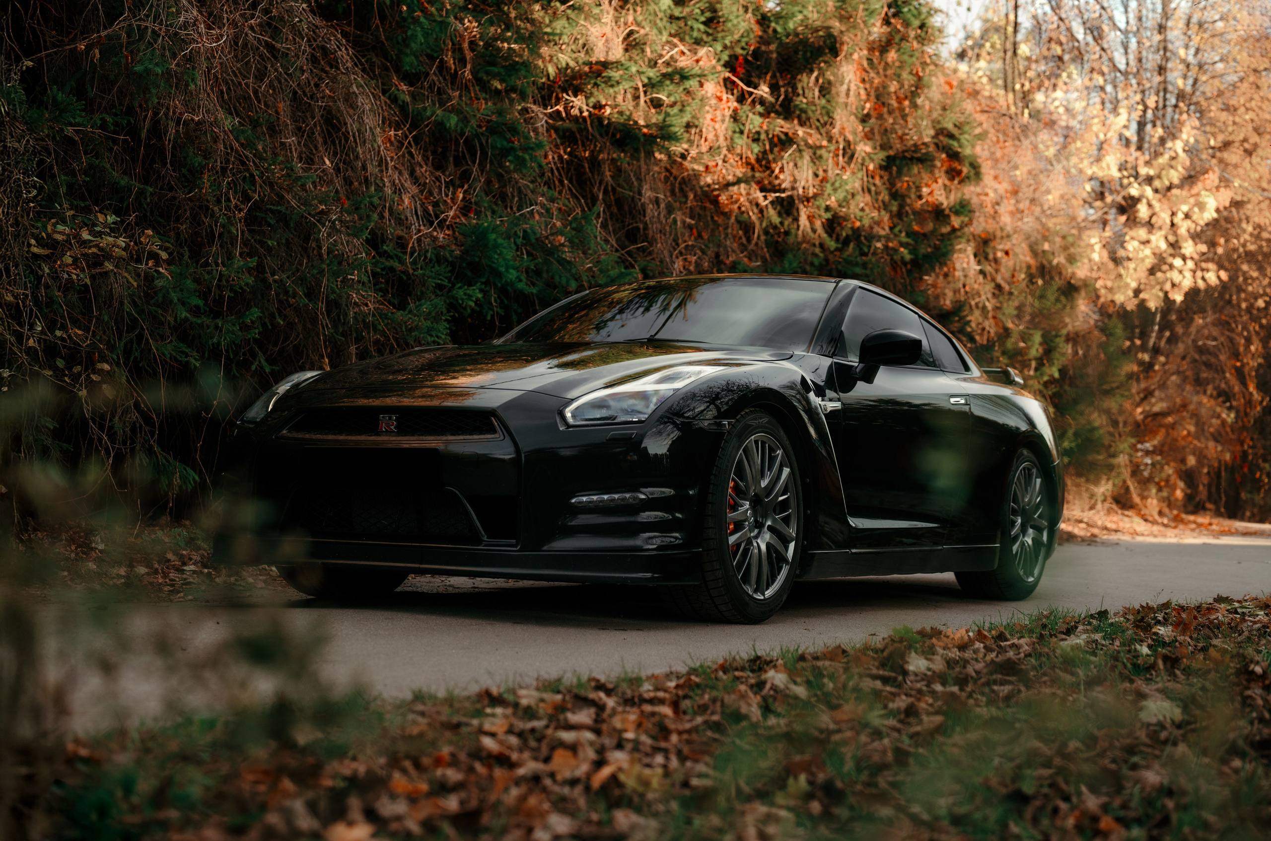 Nissan GT-R35 autumn vibe. DeLorein