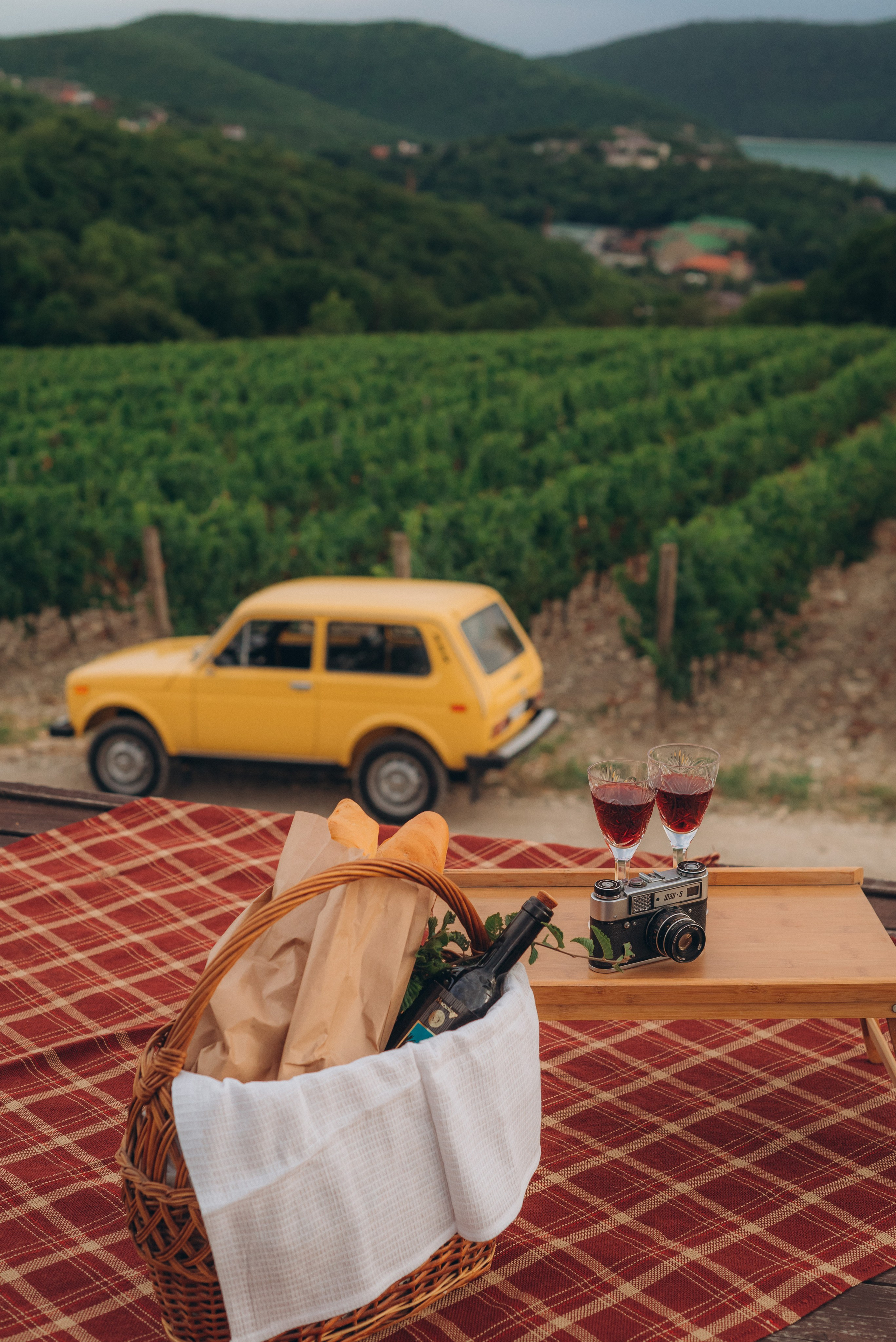 Виноградники. Фотографы Ивановы Краснодарский край