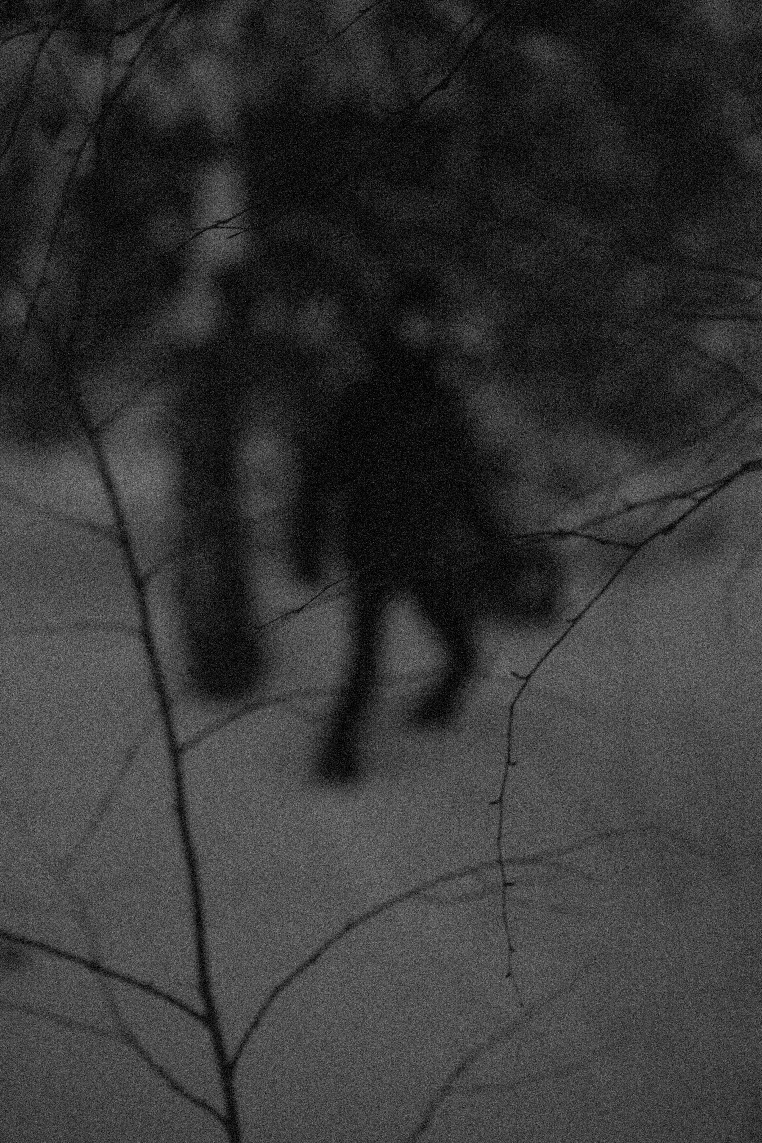 No name. Lifestyle photographer Turku. I catch emotions in the frame