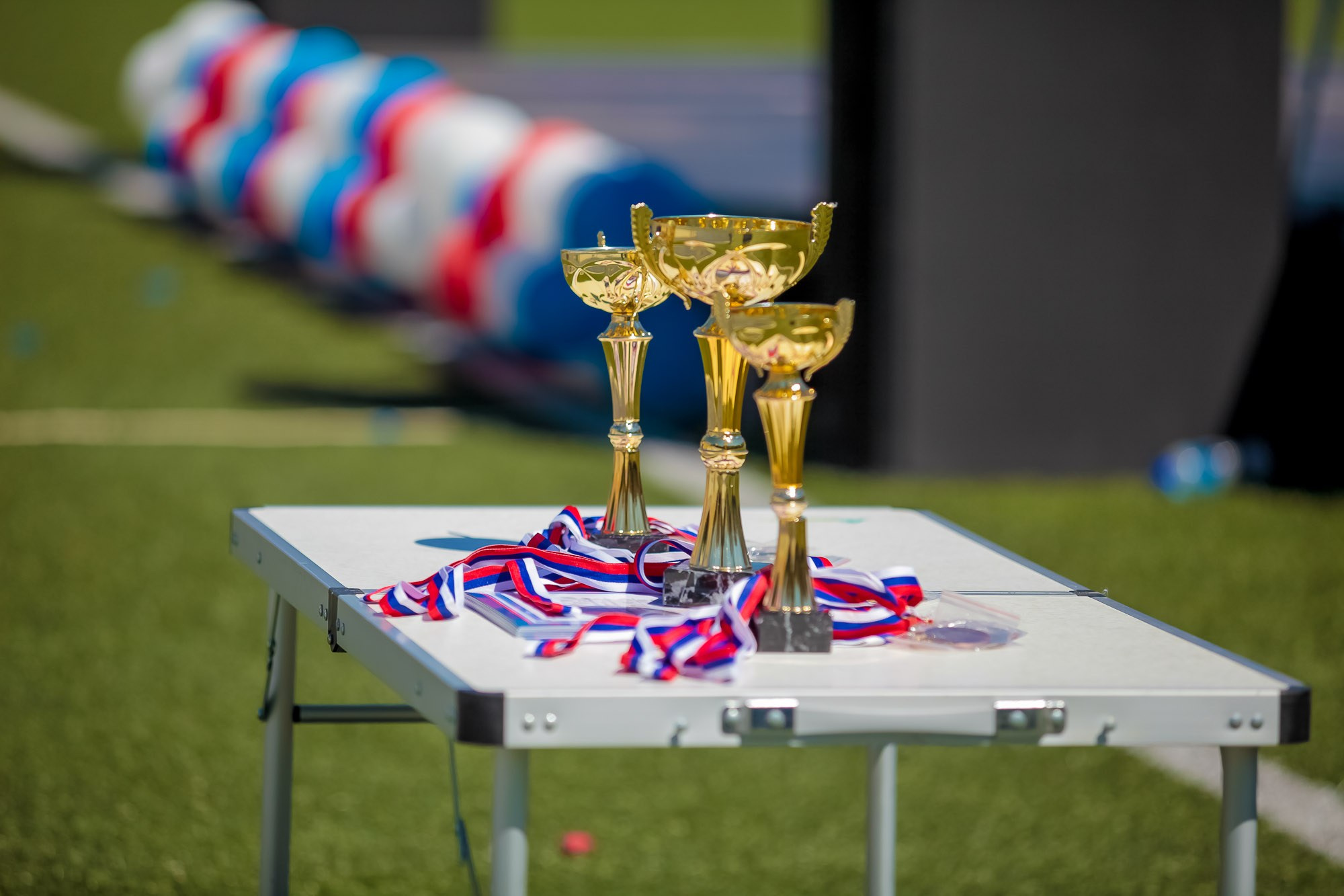 День Физкульт. Максим Матвийченко и Виктория Басова профессионалы своего дела