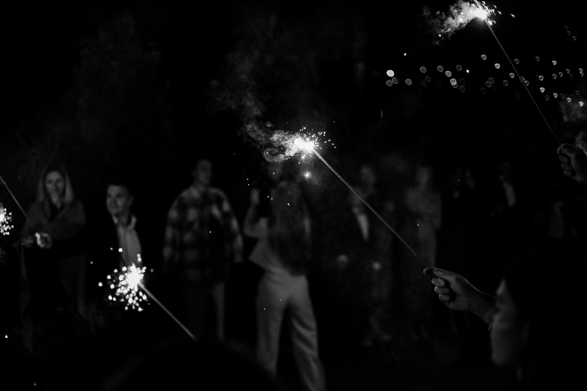 Позовем всех?. Свадебный фотограф Александра Тюлякова