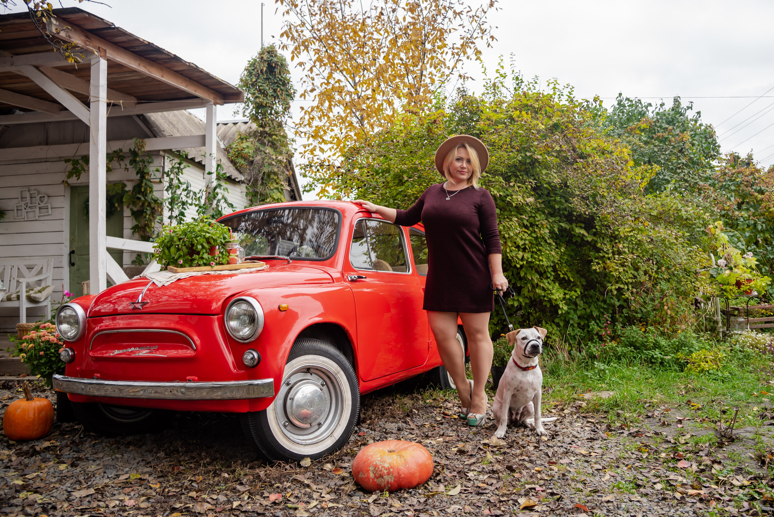 Авакадо. Фотограф Галина Нестерова