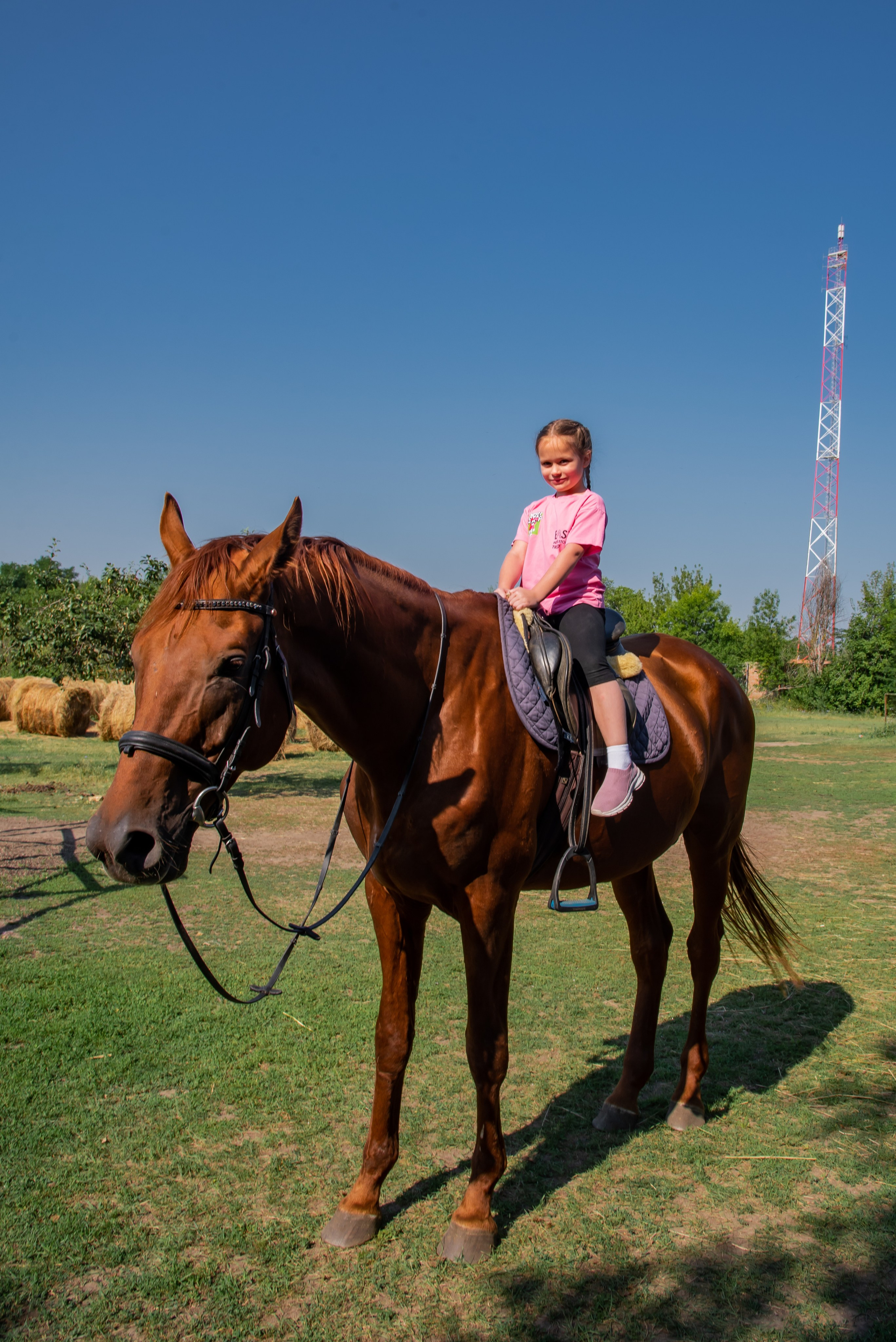 Конная прогулка. Фотограф Галина Нестерова