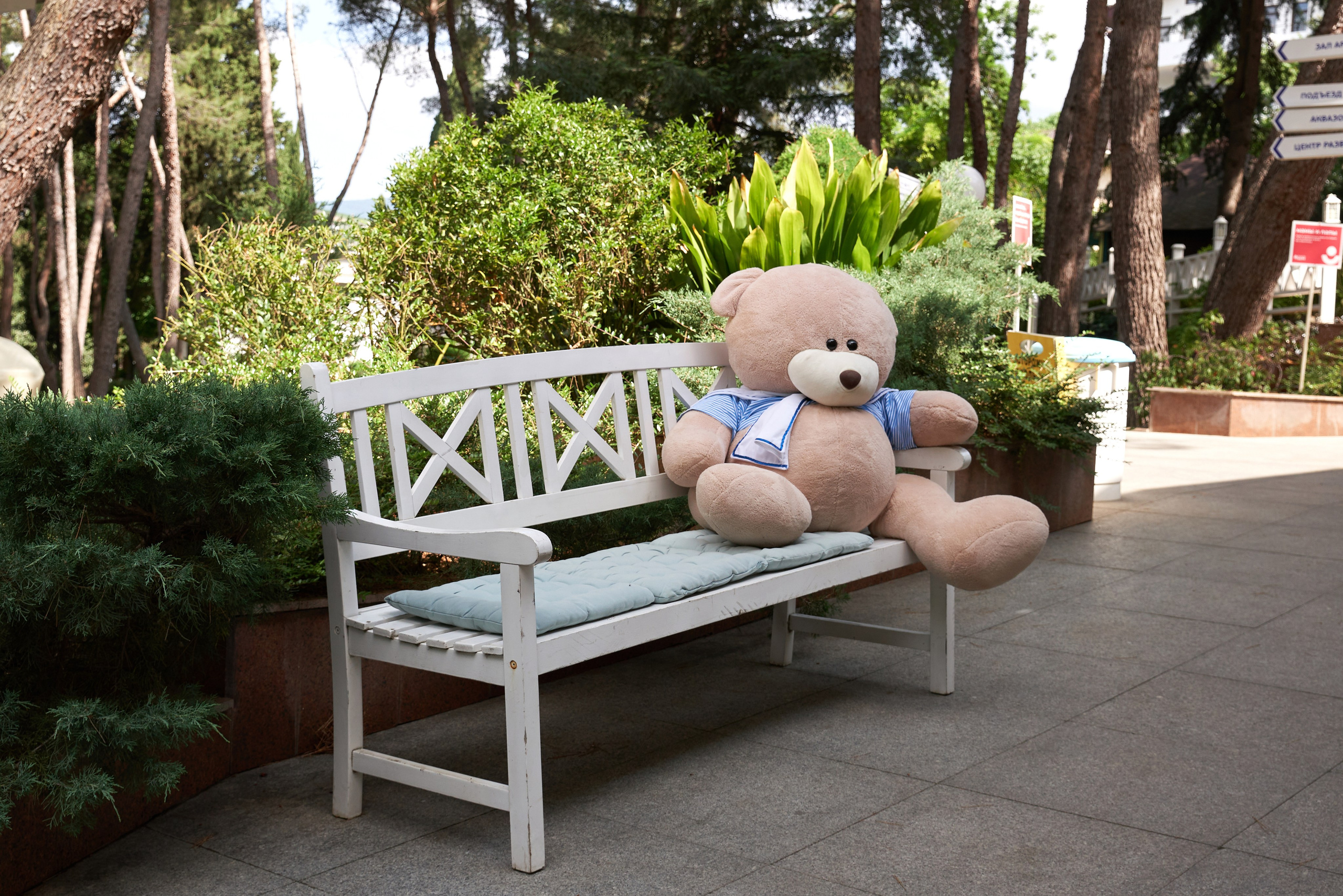 территория отеля фото