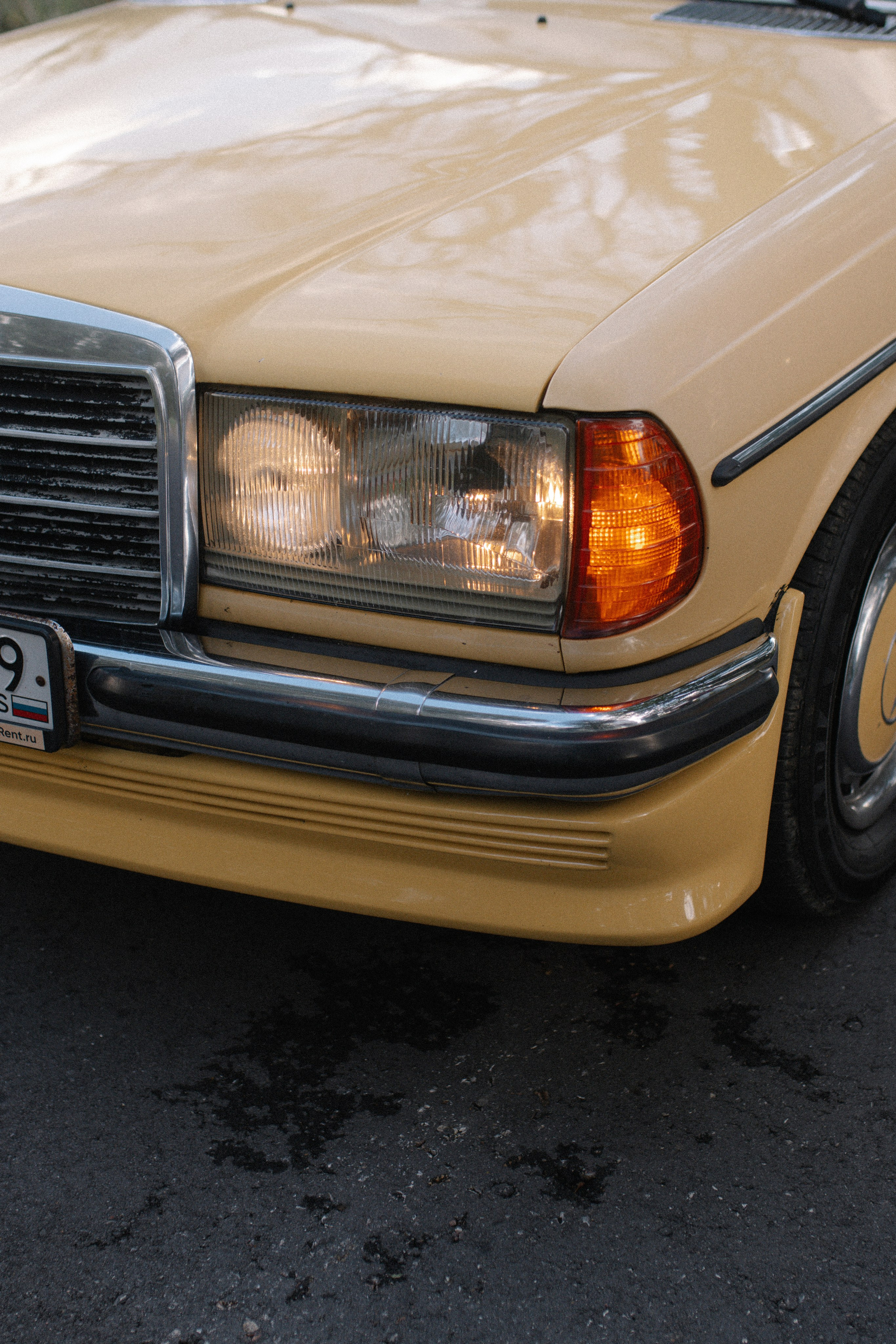 Осень. Свадебный фотограф, съёмки мероприятий, женский портрет и беременность в Москве и области — Ксения Узилле