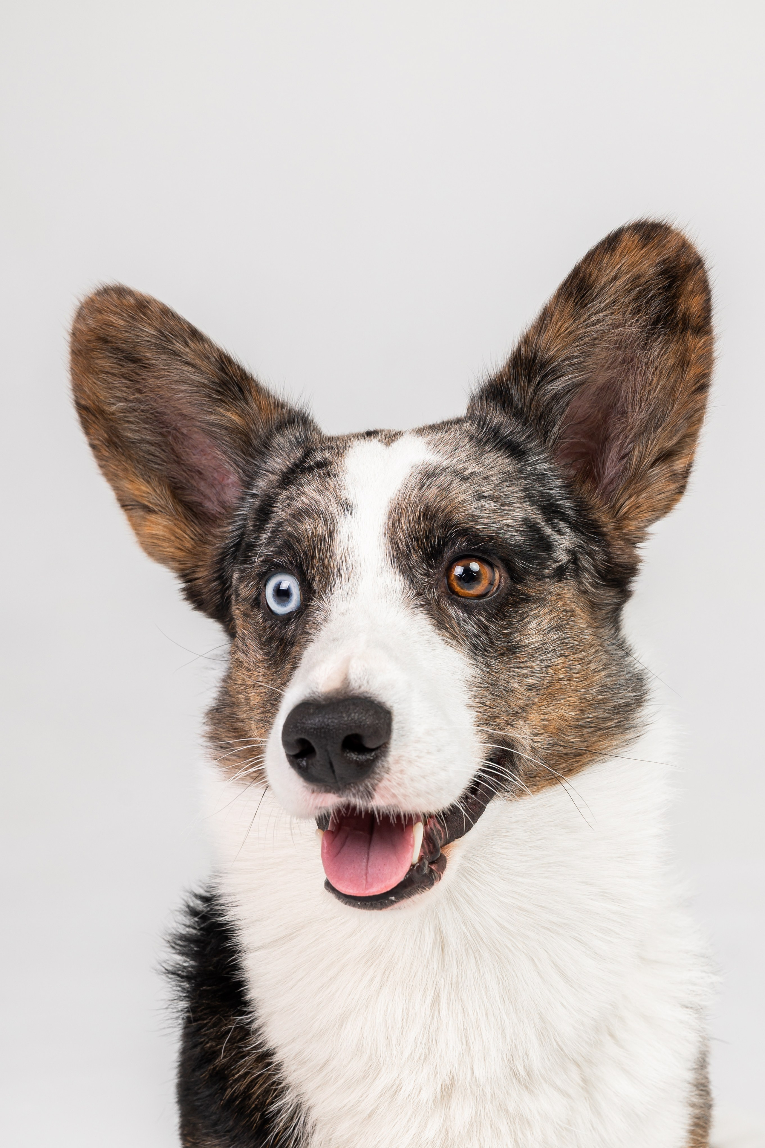 Анатолий и Рагнар