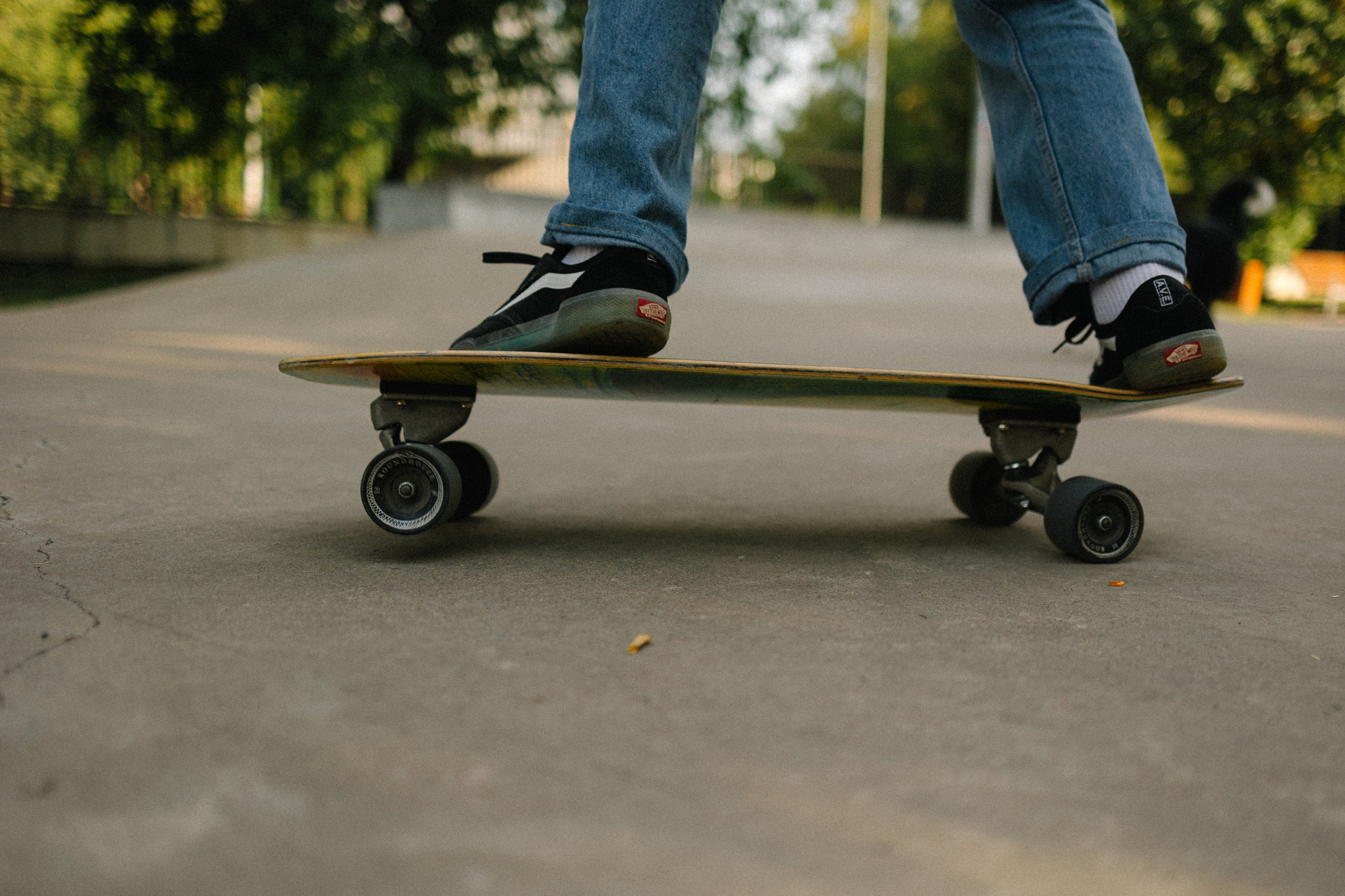 Брюс, Вейв и их ро. Фотораф — анималист Мария Шистка