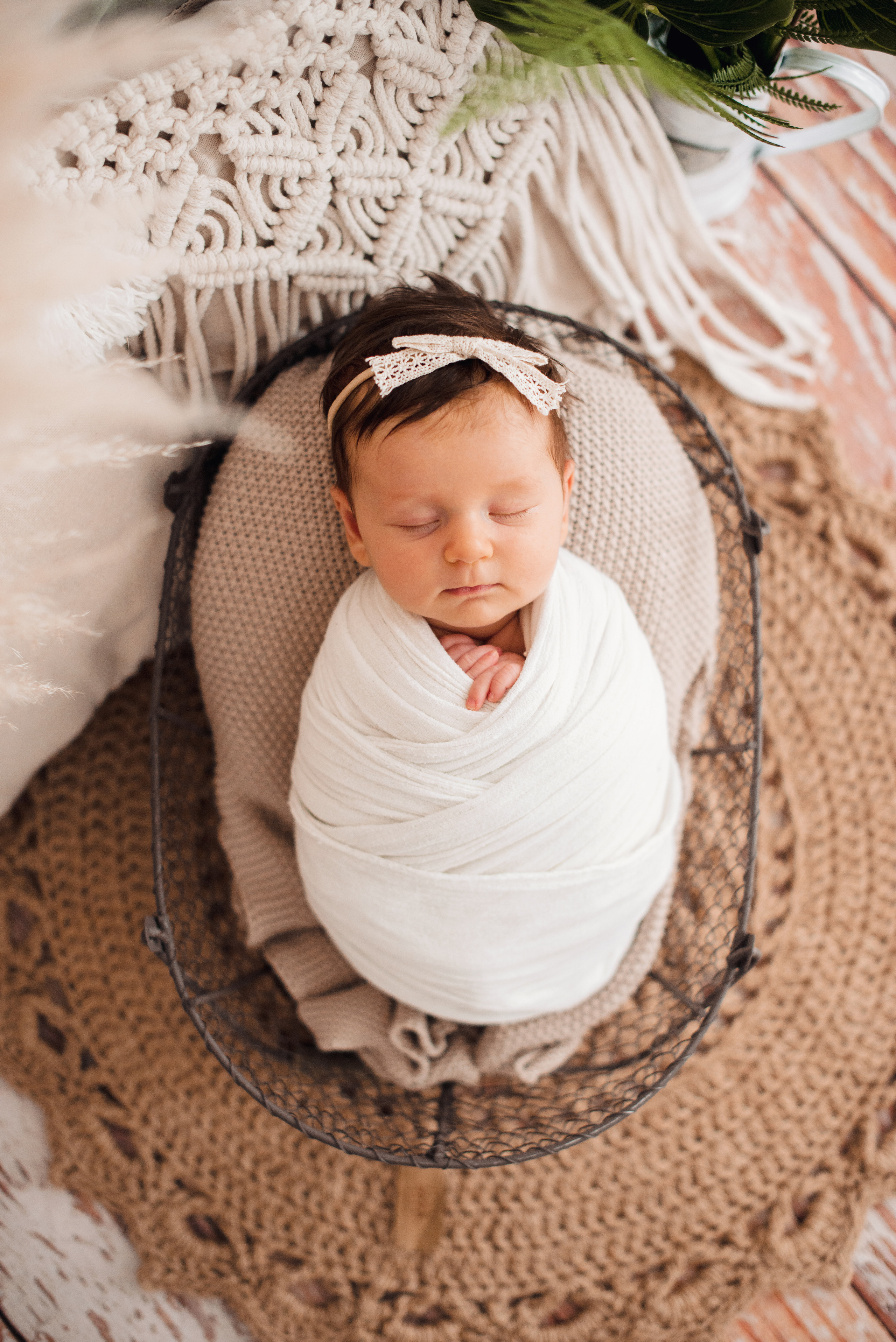 Новорождённые. Детская фотостудия Ольги Синицкой, ст. Брюховецкая