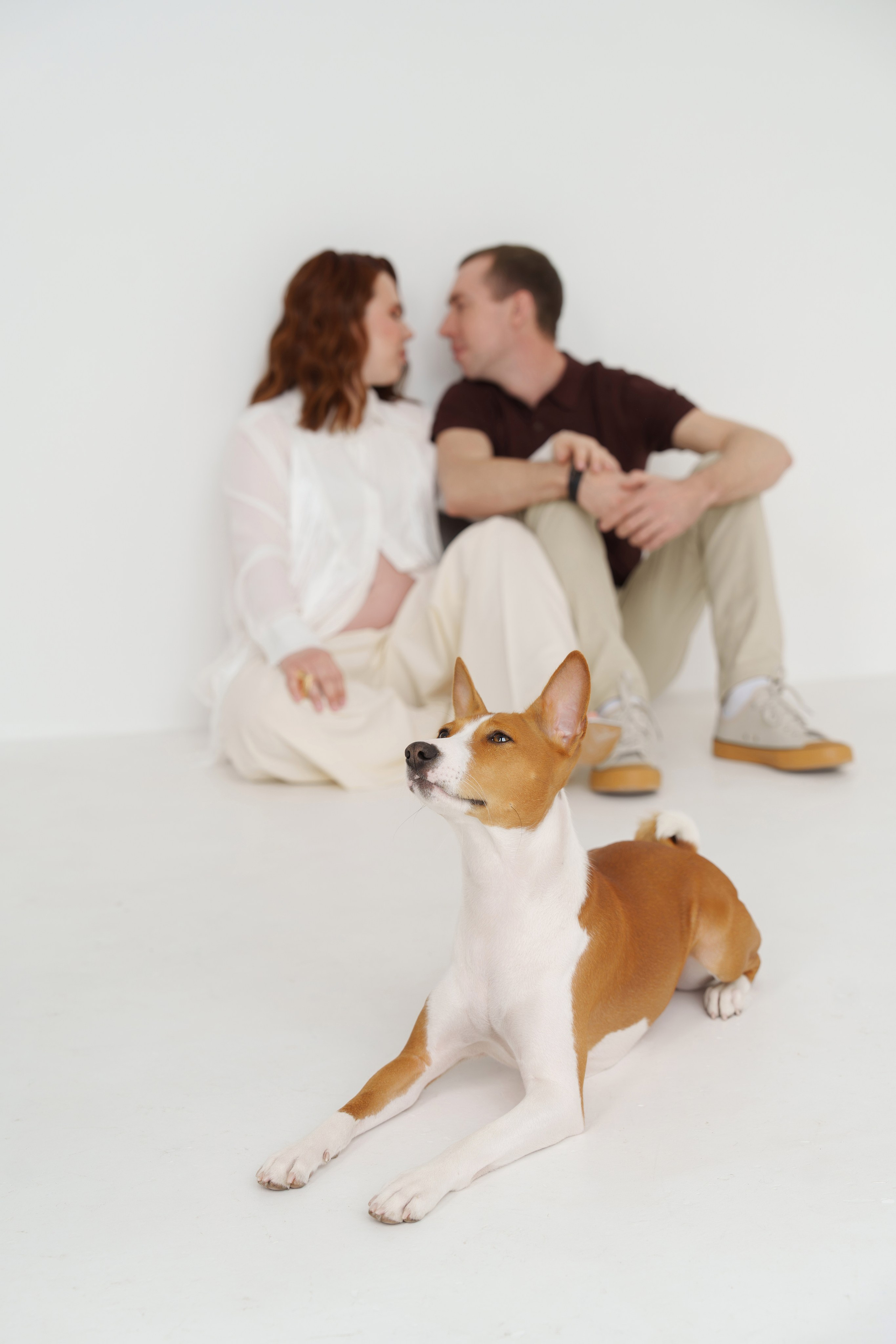 Екатерина и Александр. Свадебный и репортажный фотограф Элина Козырьянова