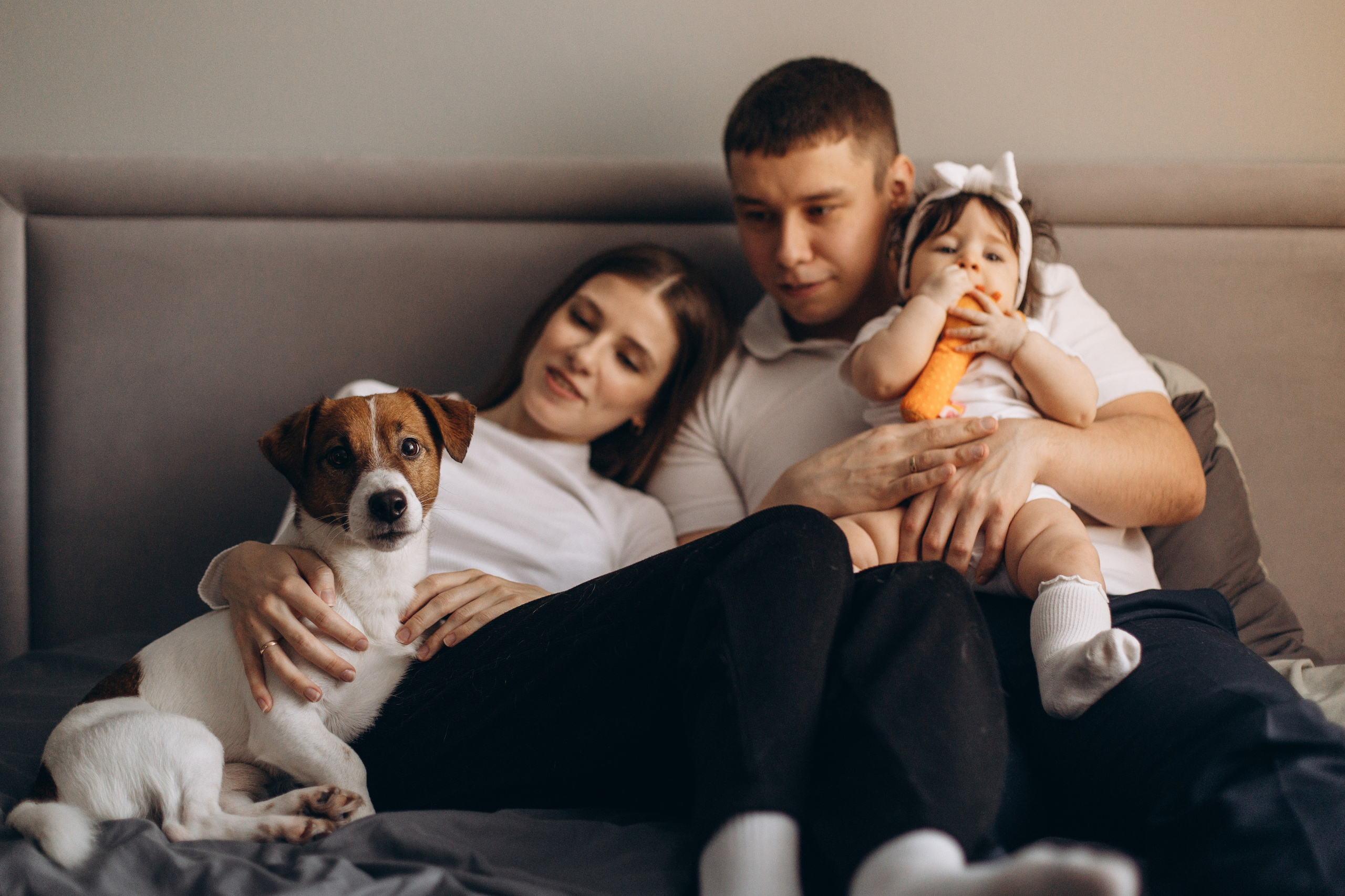 Джой и его семья. Фотограф — Анималист | Санкт-Петербург