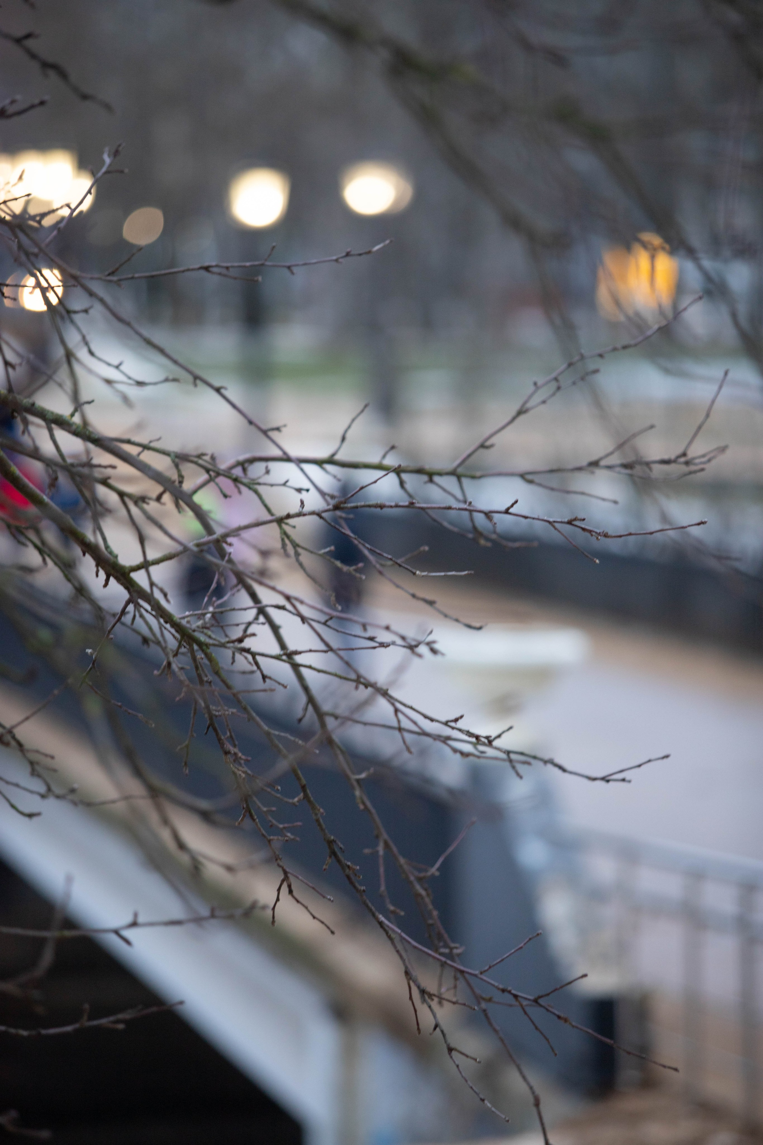 5 верст/декабрь. Александра Мельниченко/ Бегающий фотограф