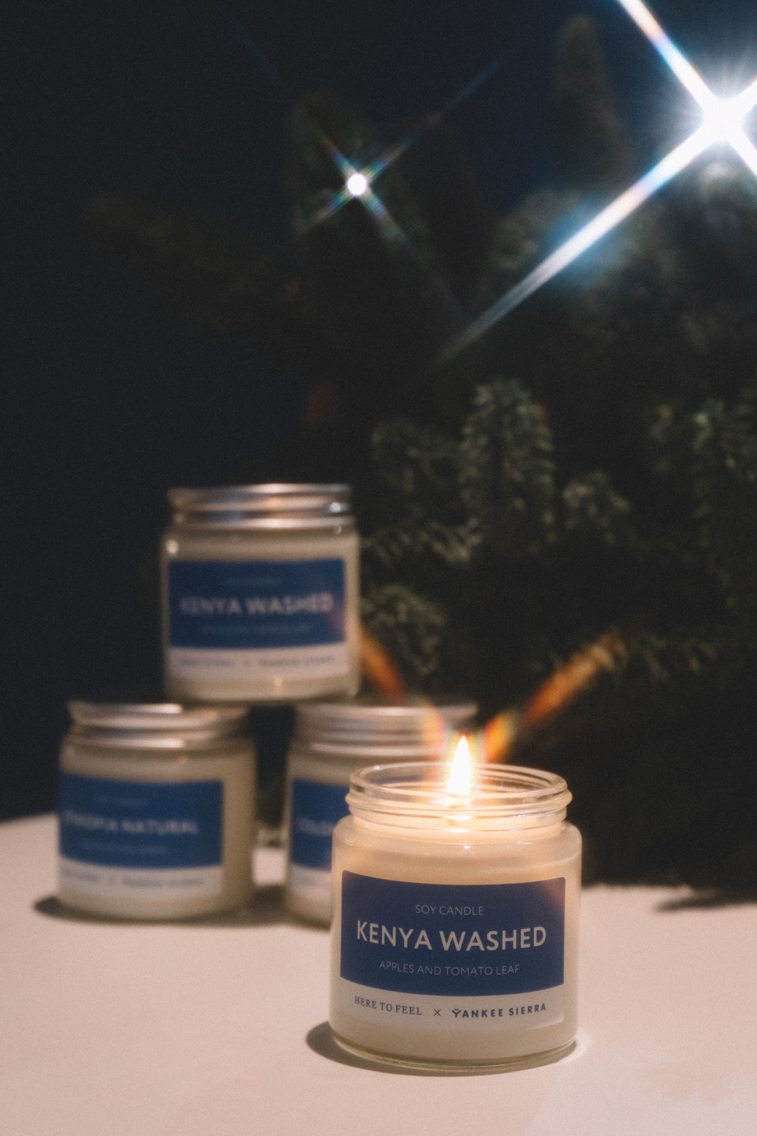 Yankee sierra. Анастасия Попова — Fashion photographer