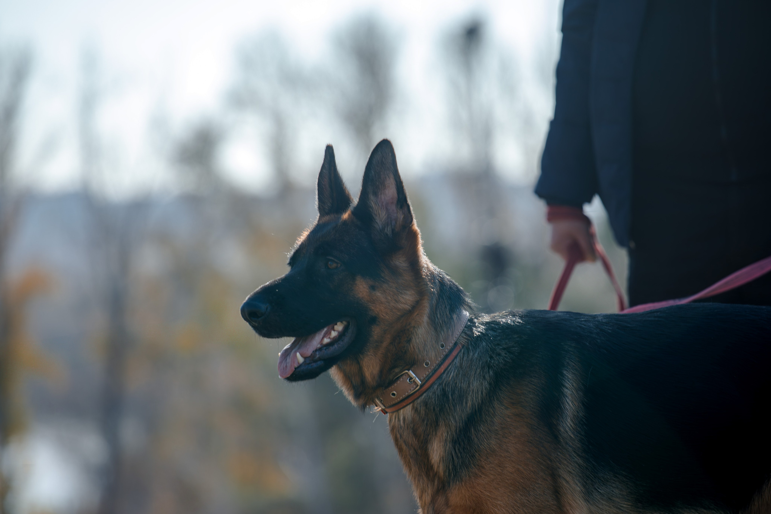 Ди и Джема. Фотограф Екатерина Козловская
