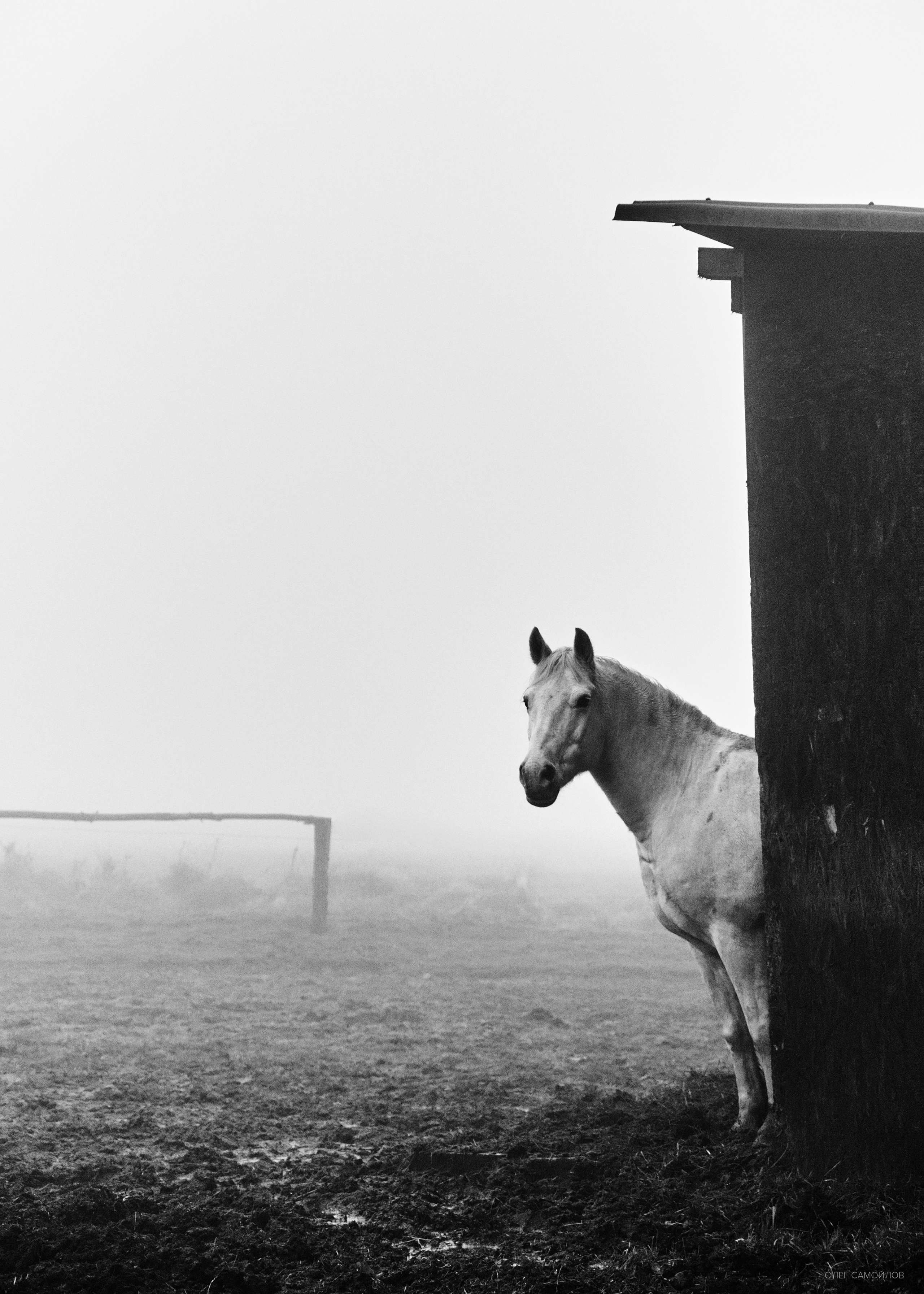 Фотографии для интерьера. Oleg Samoilov is a documentary photographer for brands that value an honest story