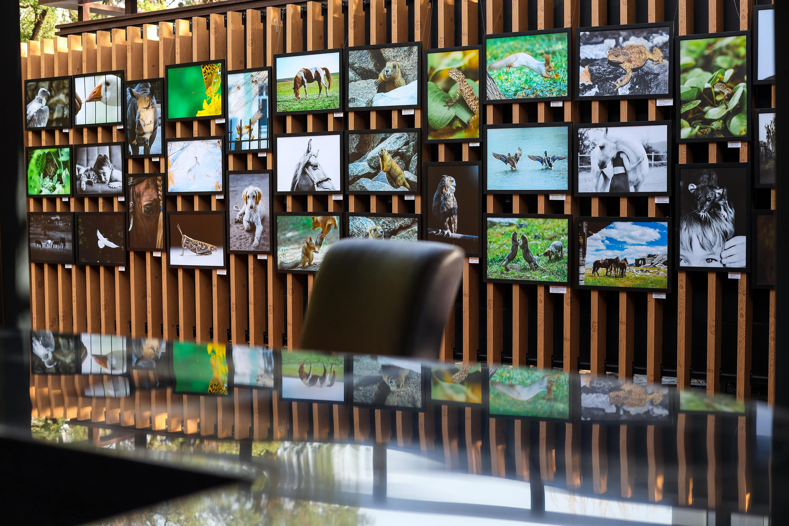 Выставки. Семейный и детский фотограф в Алматы Юровских Инесса