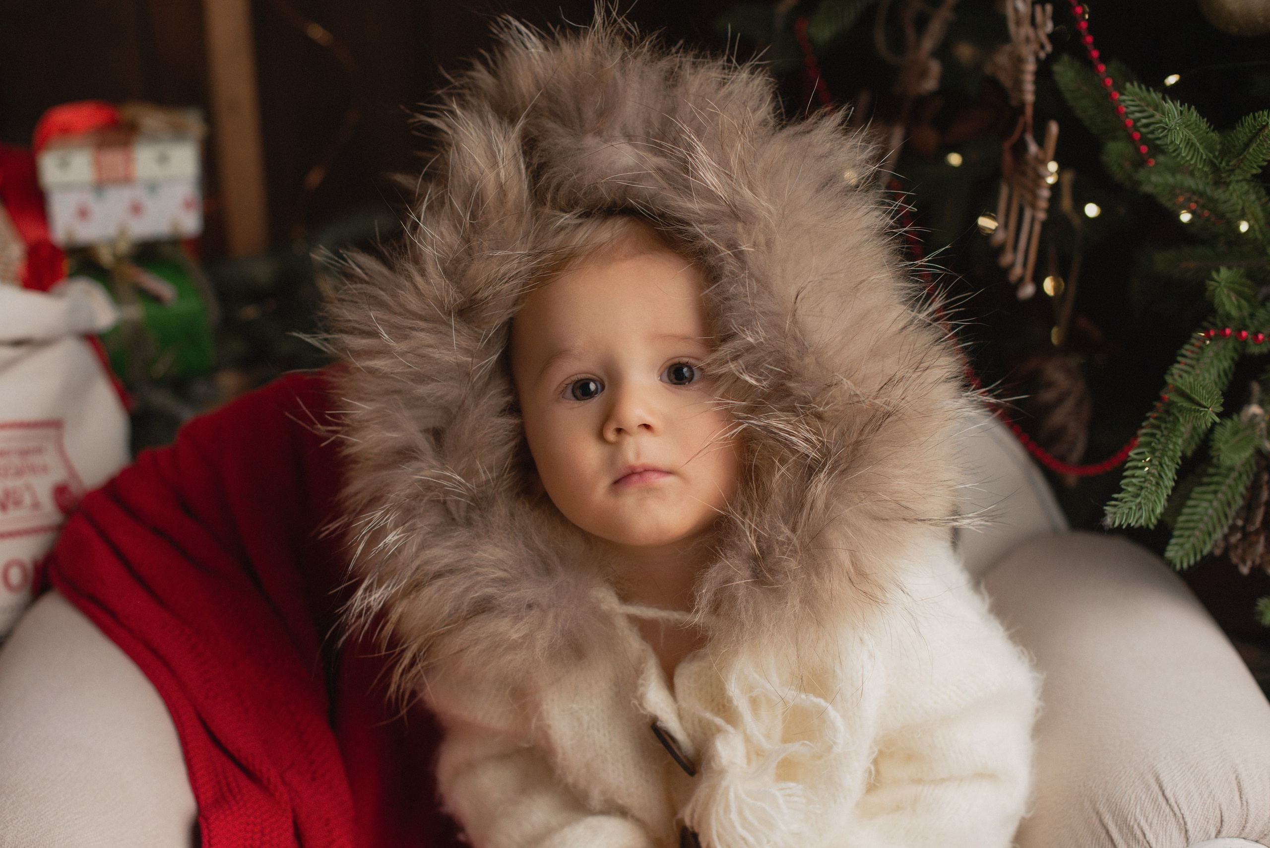 Детская фотосъемка. Фотограф беременности, новорожденных и детей до года в Челябинске Волк