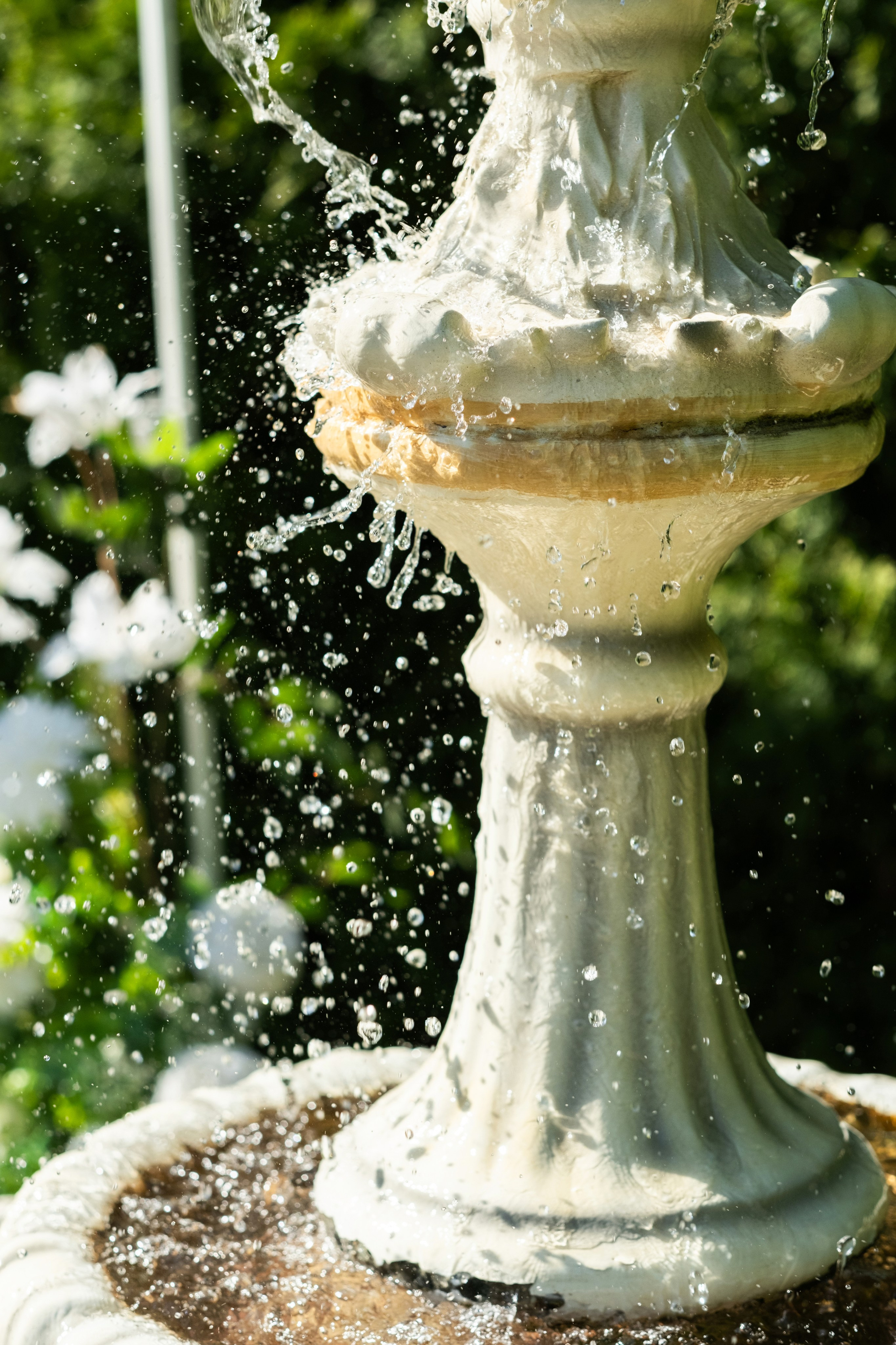 Илья и Мария. Свадебный фотограф | репортаж | праздники | крещение